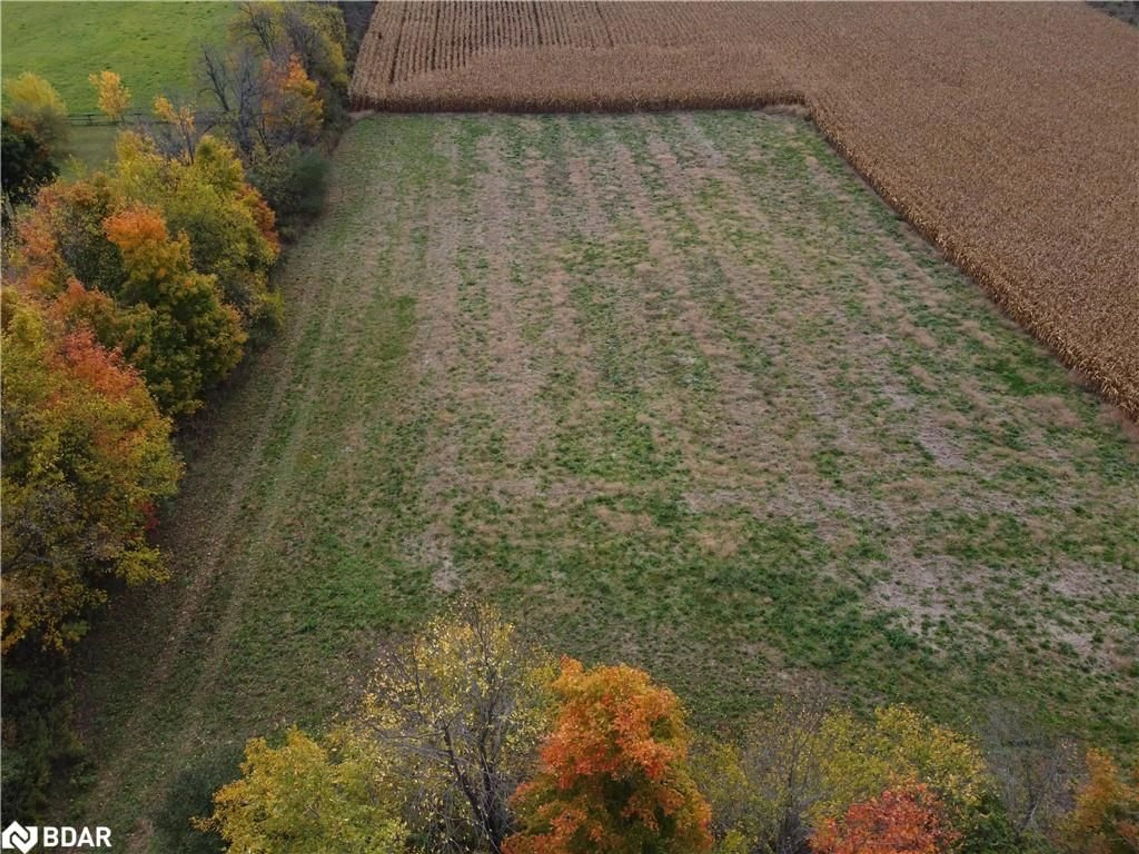 A pic from outside/outdoor area/front of a property/back of a property/a pic from drone, forest/trees view for 00 5258 Third Line, Wellington Ontario L7J 2L8