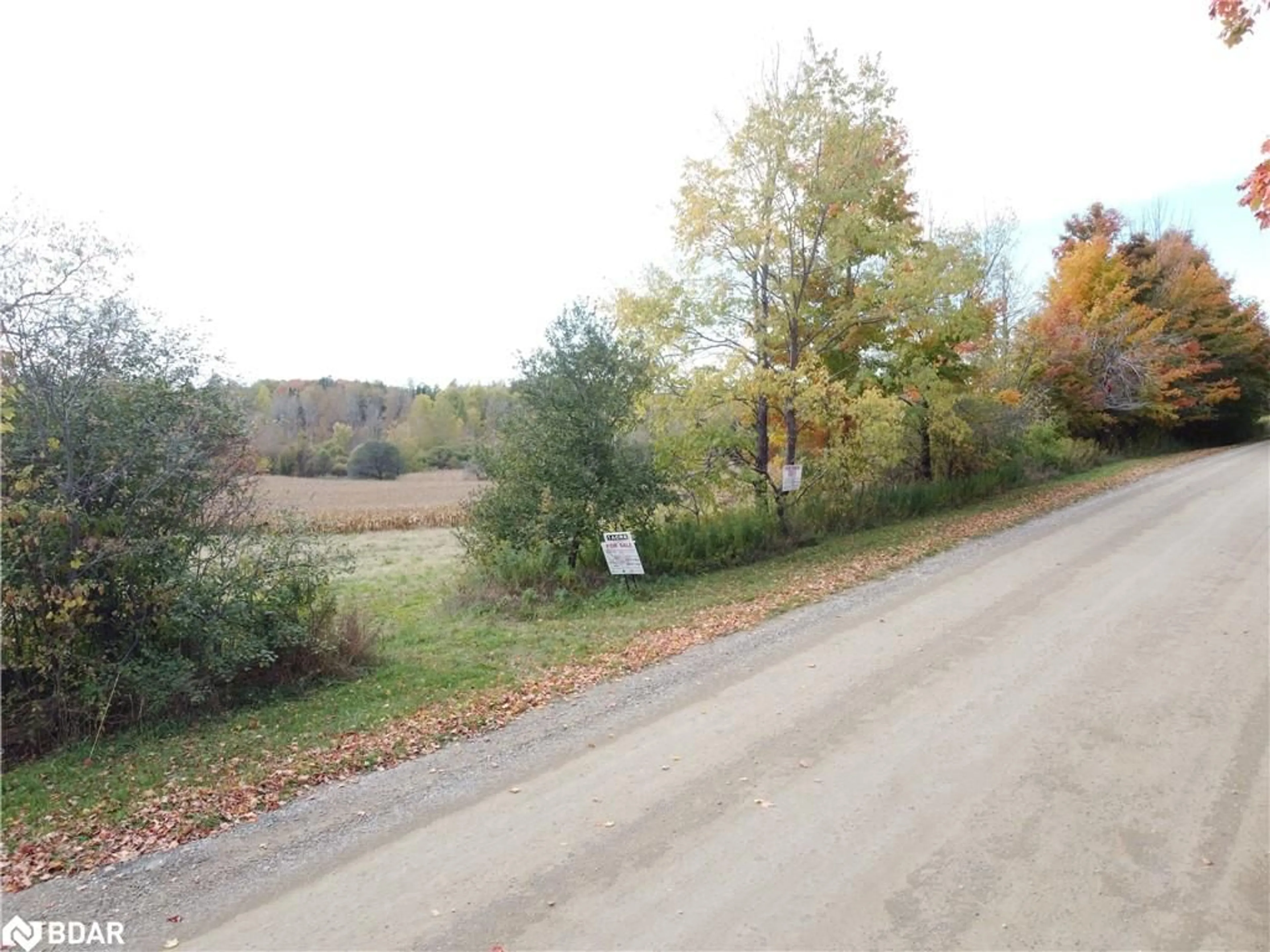 Unknown for 00 5258 Third Line, Wellington Ontario L7J 2L8