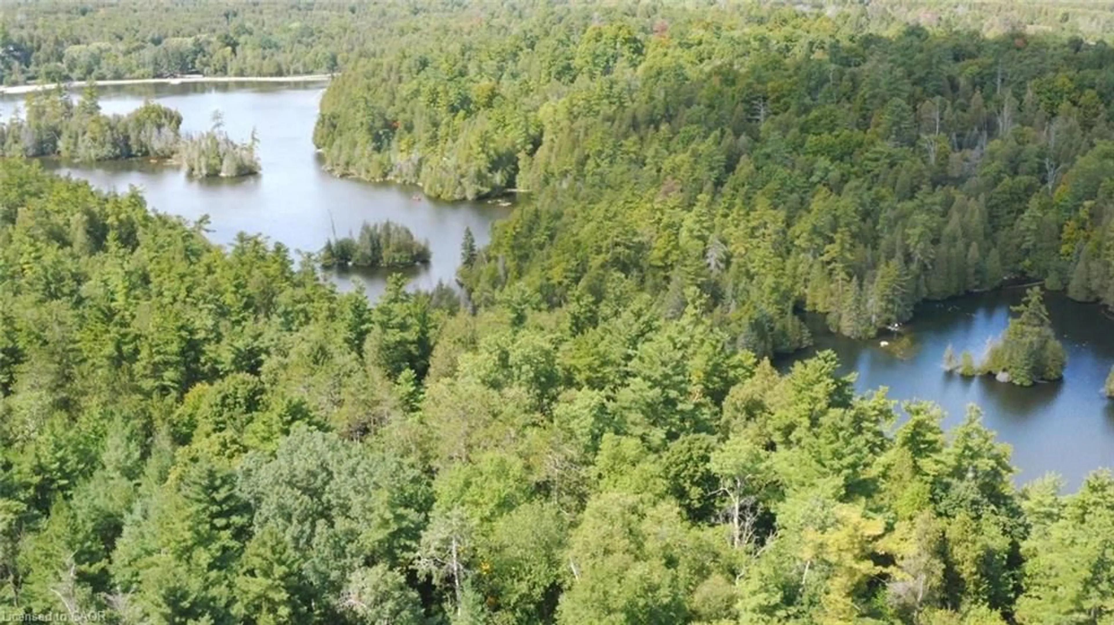 A pic from outside/outdoor area/front of a property/back of a property/a pic from drone, forest/trees view for 137 Lou's Blvd, Rockwood Ontario N0B 2K0