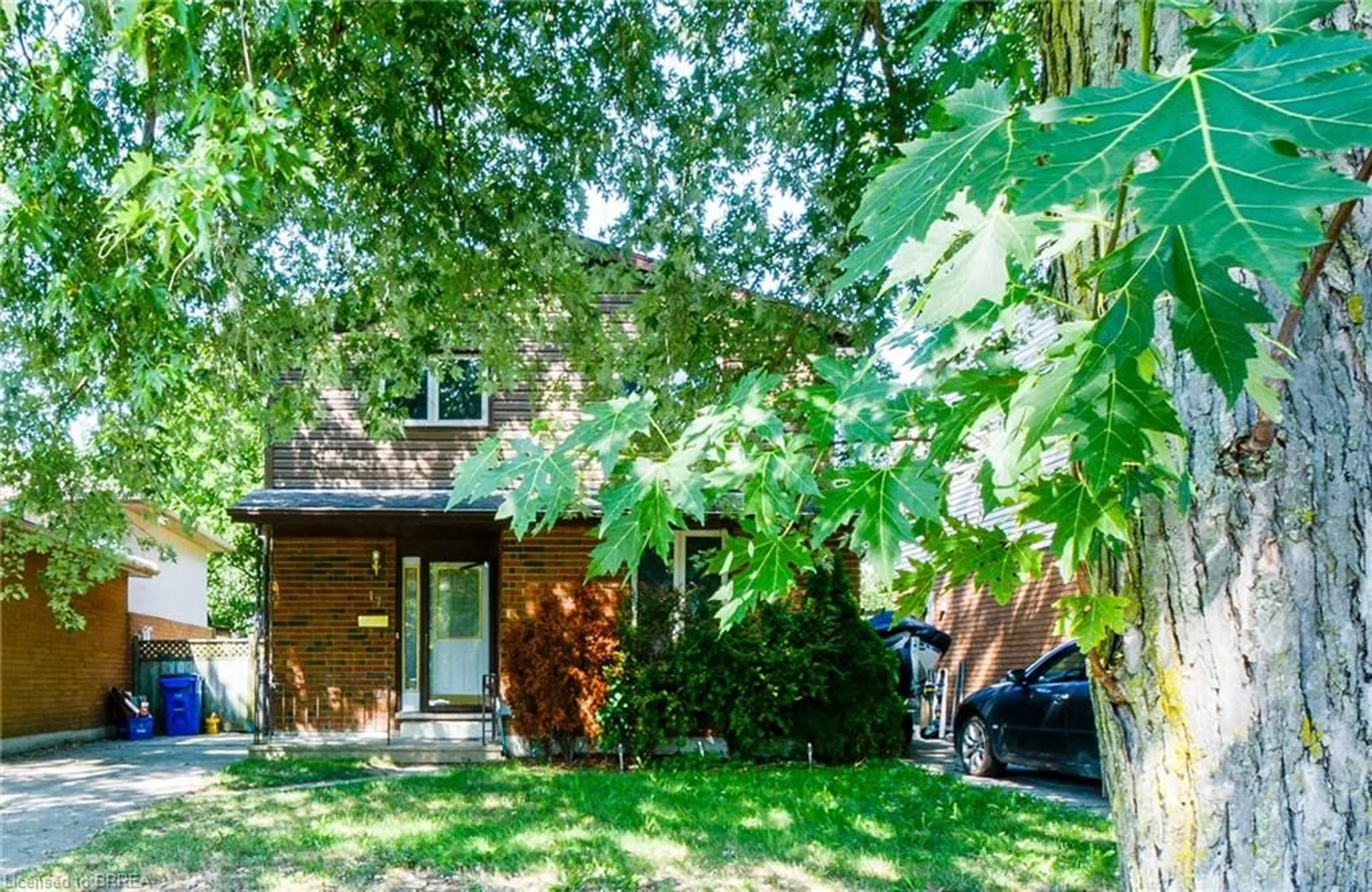 Unknown for 47 Wedgewood Ave, Chatham Ontario N7M 5X3