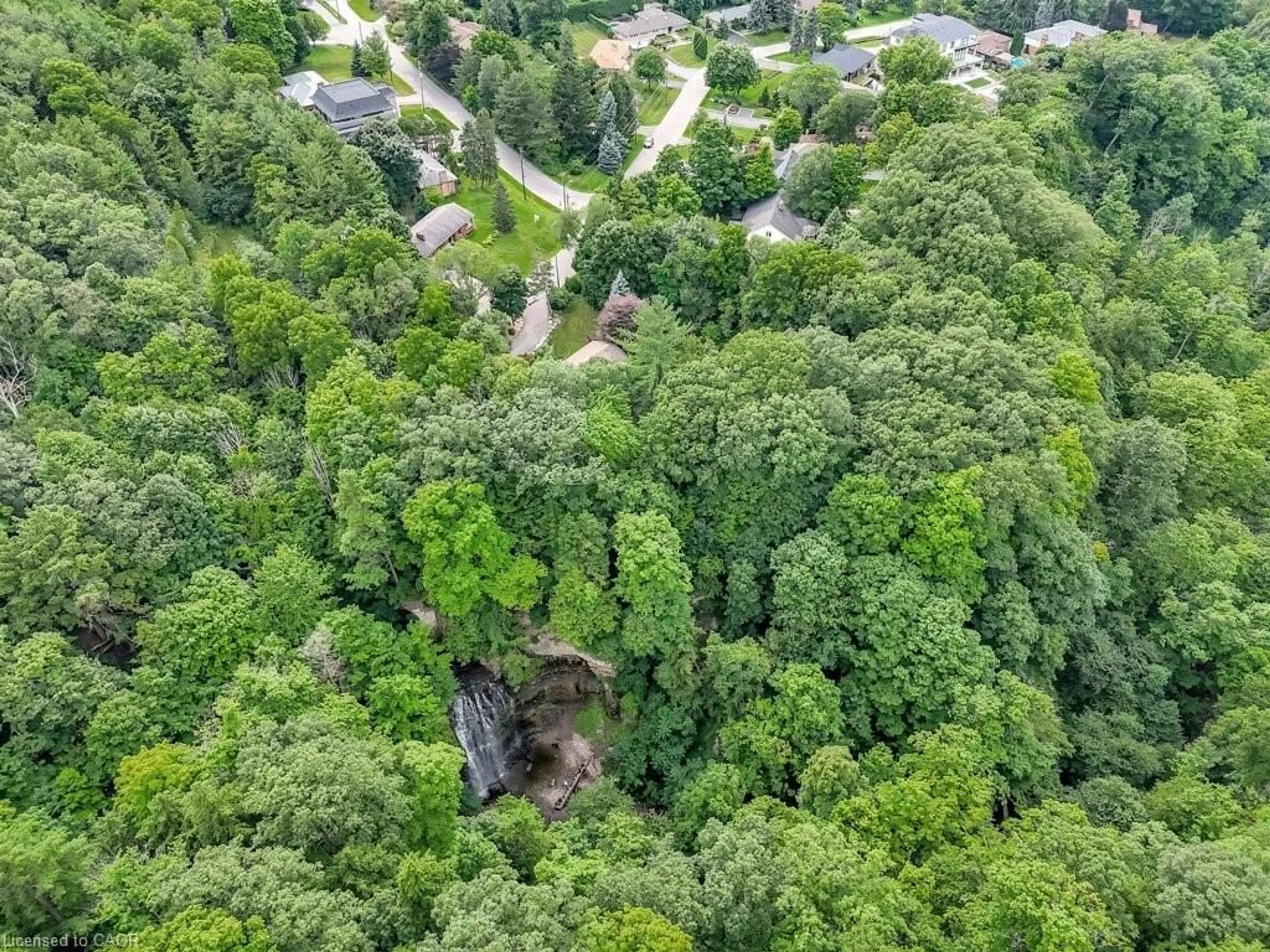 A pic from outside/outdoor area/front of a property/back of a property/a pic from drone, forest/trees view for 931 Montgomery Dr, Ancaster Ontario L9G 3H6