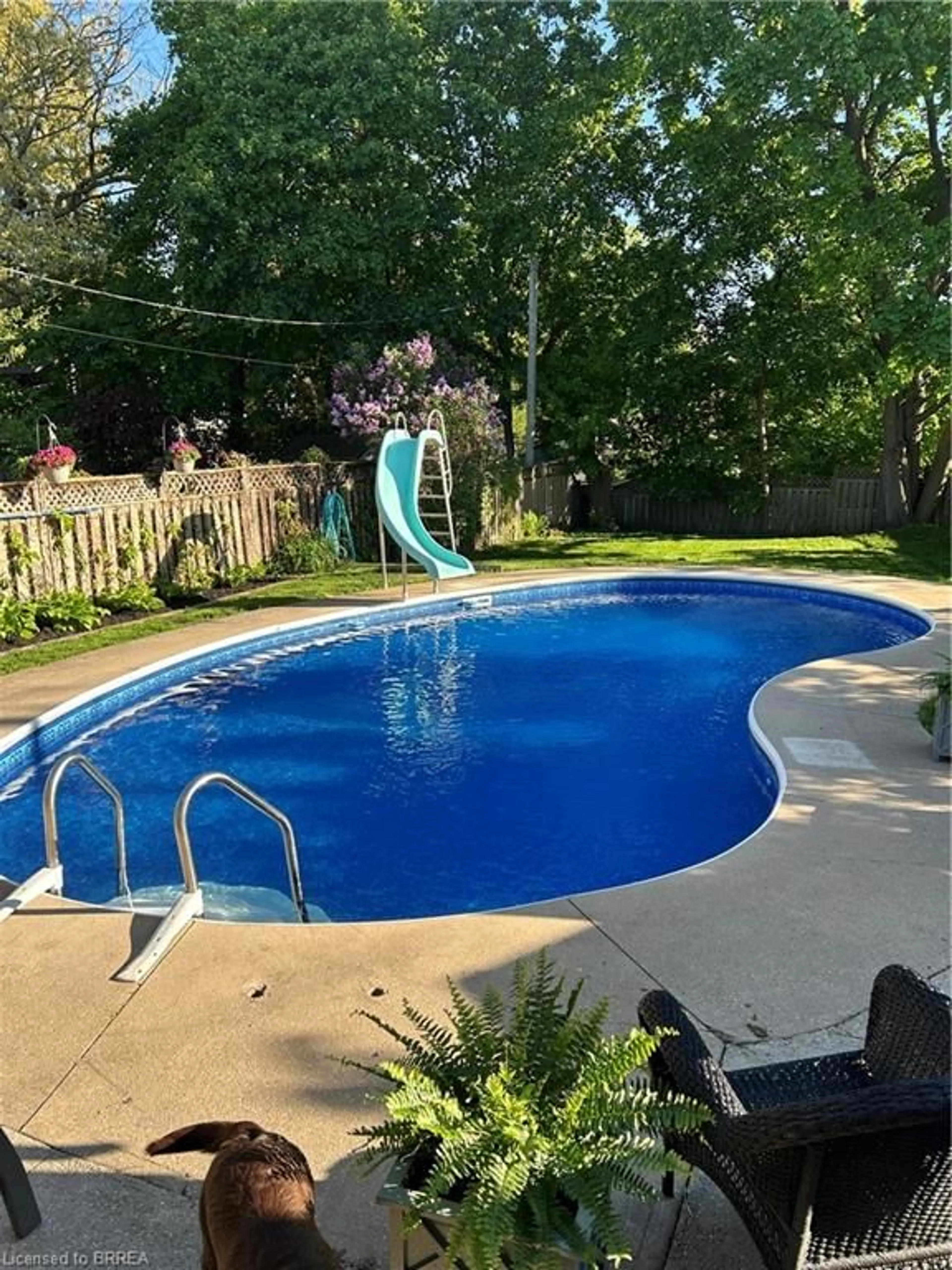 Pool for 24 Lincoln Ave, Brantford Ontario N3T 4S4