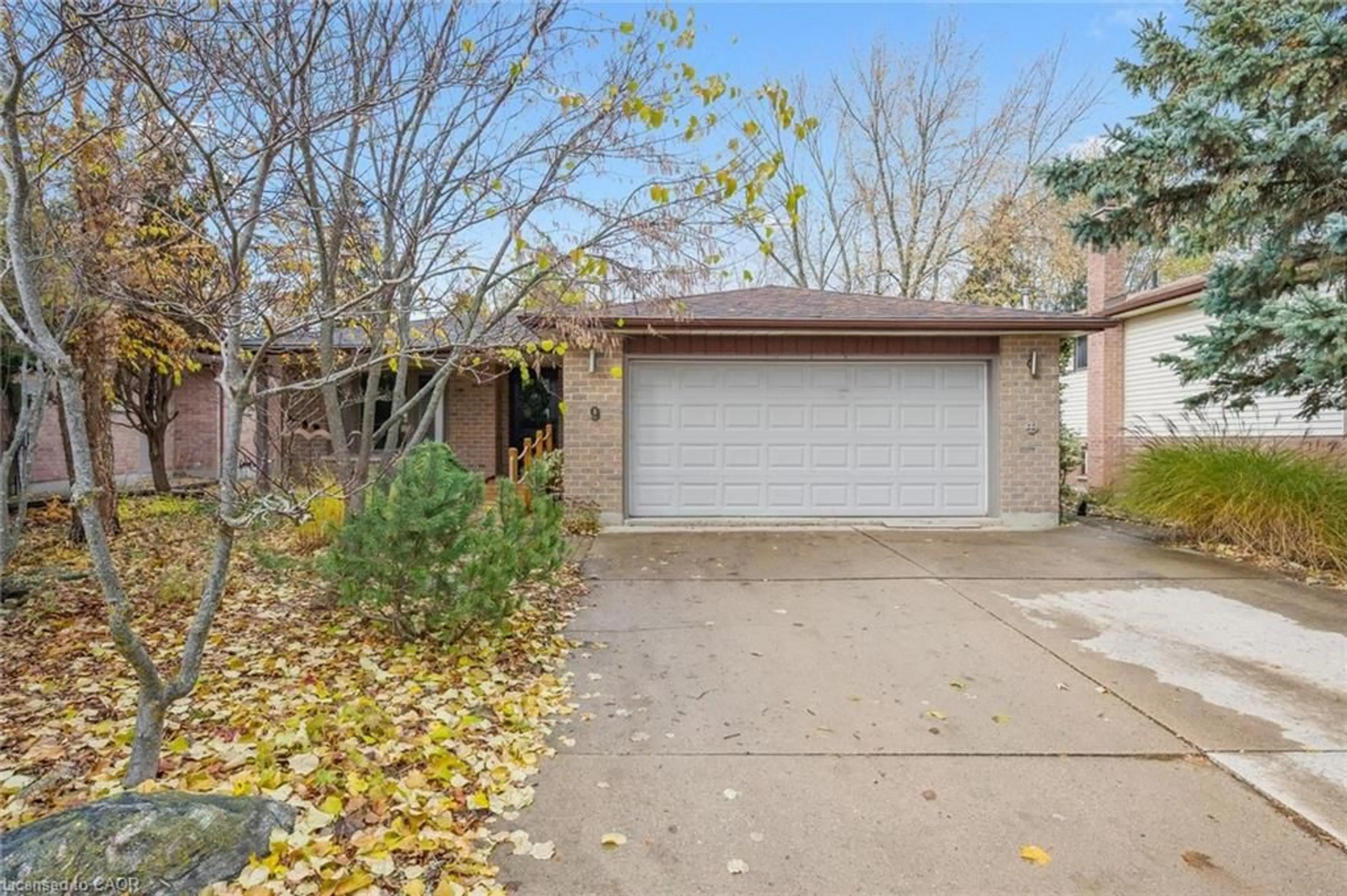 Unknown for 9 Smart St, Guelph Ontario N1G 4L4