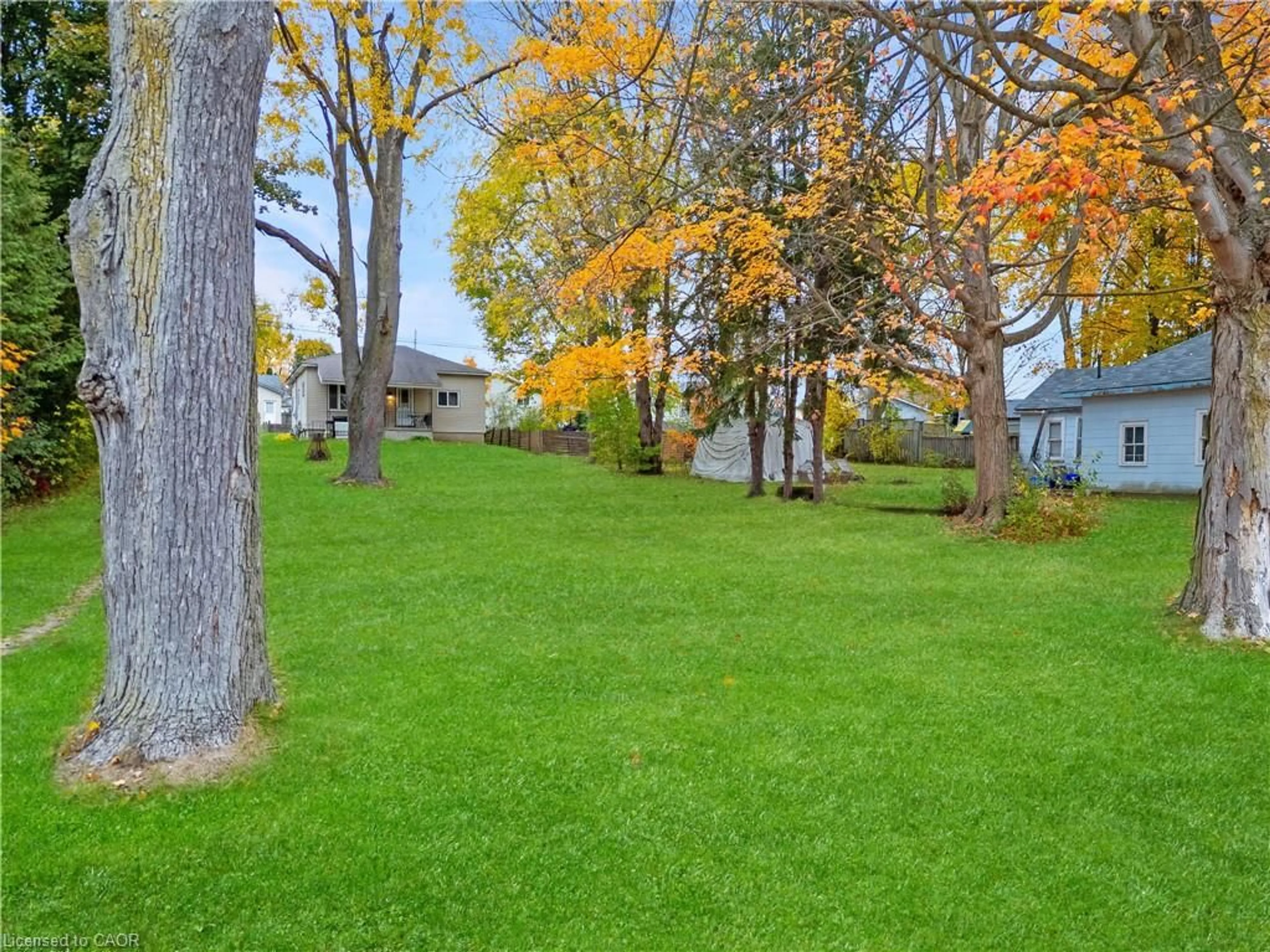 A pic from outside/outdoor area/front of a property/back of a property/a pic from drone, forest/trees view for 305 Hall St, Ingersoll Ontario N5C 1V8
