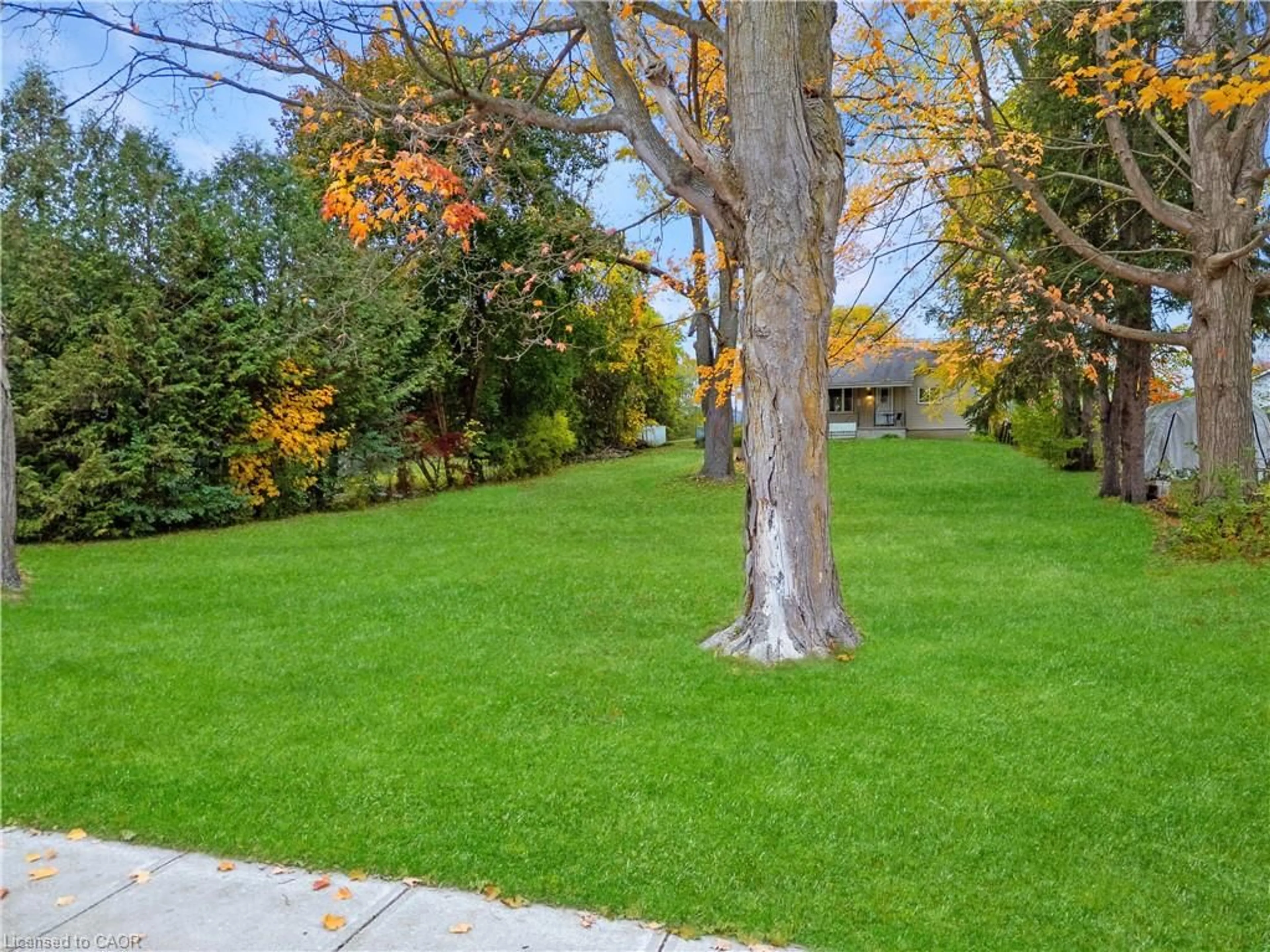 A pic from outside/outdoor area/front of a property/back of a property/a pic from drone, street for 305 Hall St, Ingersoll Ontario N5C 1V8
