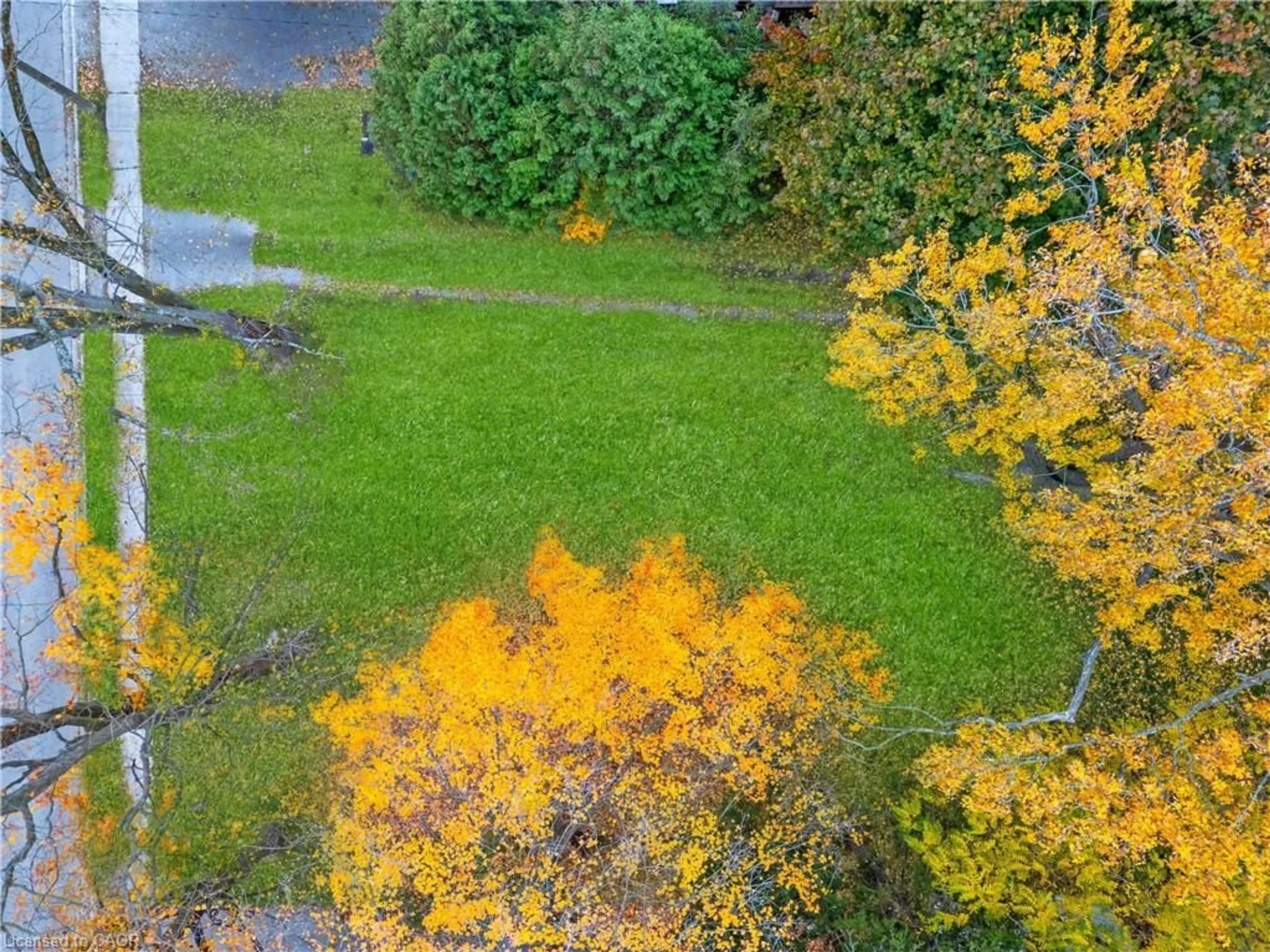 A pic from outside/outdoor area/front of a property/back of a property/a pic from drone, forest/trees view for 305 Hall St, Ingersoll Ontario N5C 1V8
