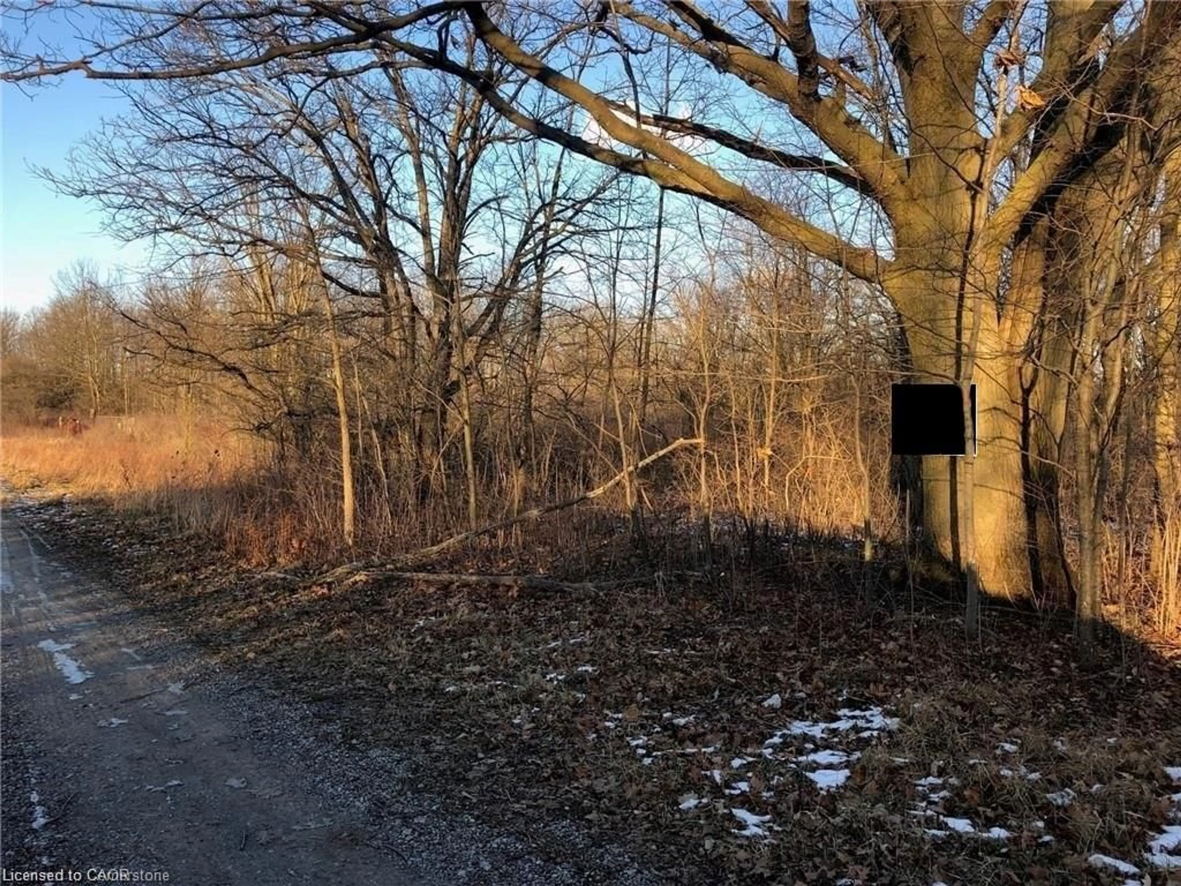 A pic from outside/outdoor area/front of a property/back of a property/a pic from drone, forest/trees view for LOT 11 Hald-Dunn Townline Rd, Canfield Ontario N0A 1C0