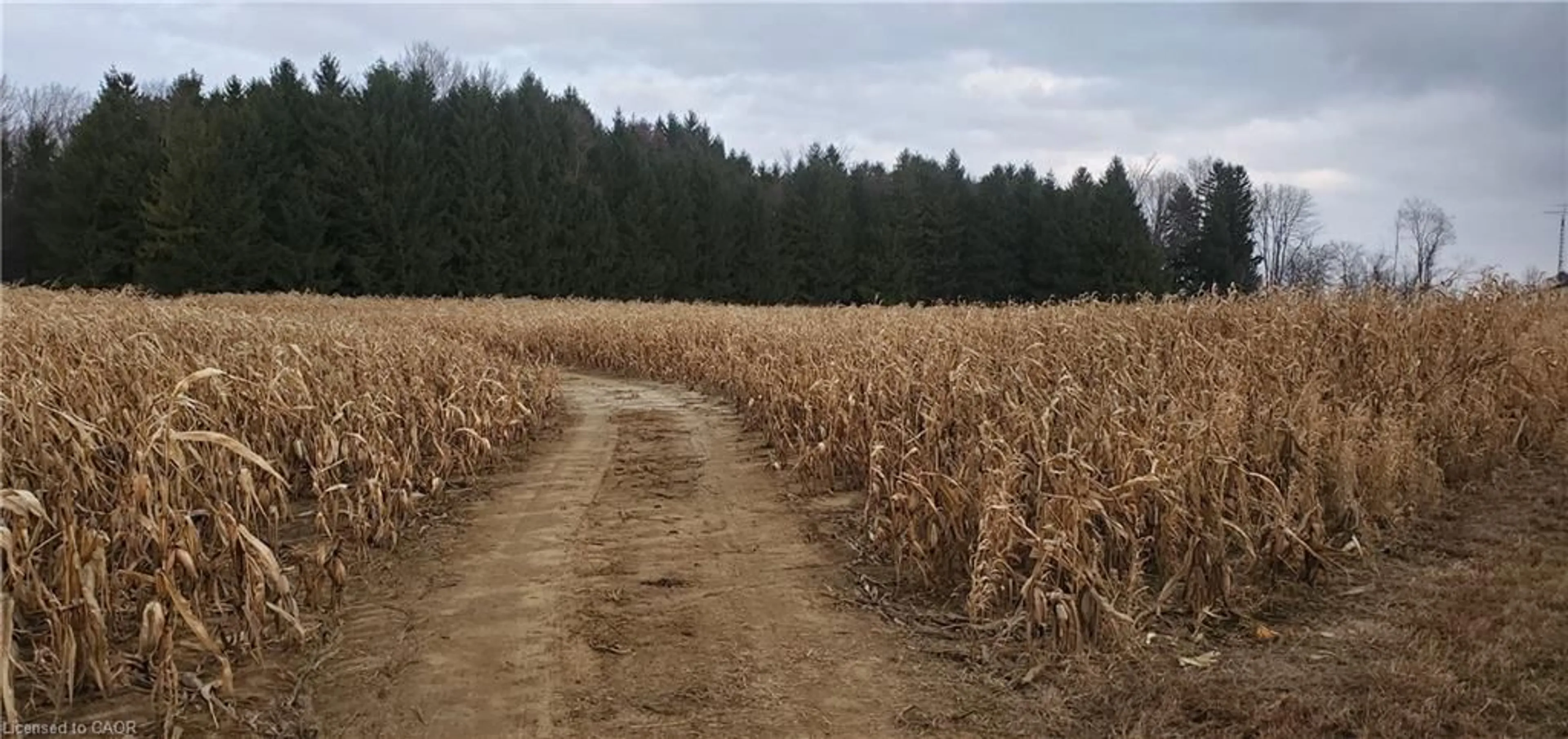 Blurry image for 1665 1st Concession Road Str, Delhi Ontario N4B 2W6