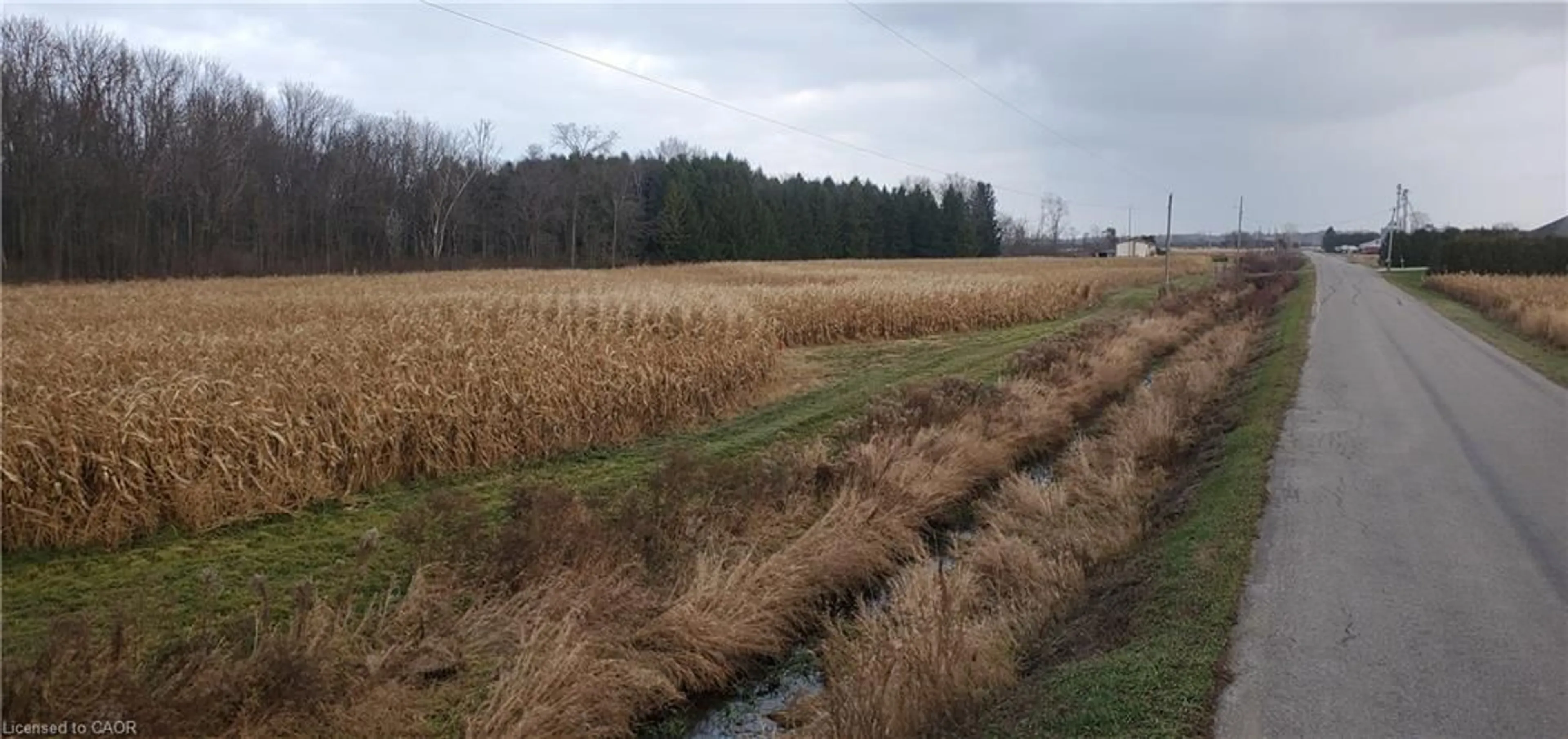 Blurry image for 1665 1st Concession Road Str, Delhi Ontario N4B 2W6