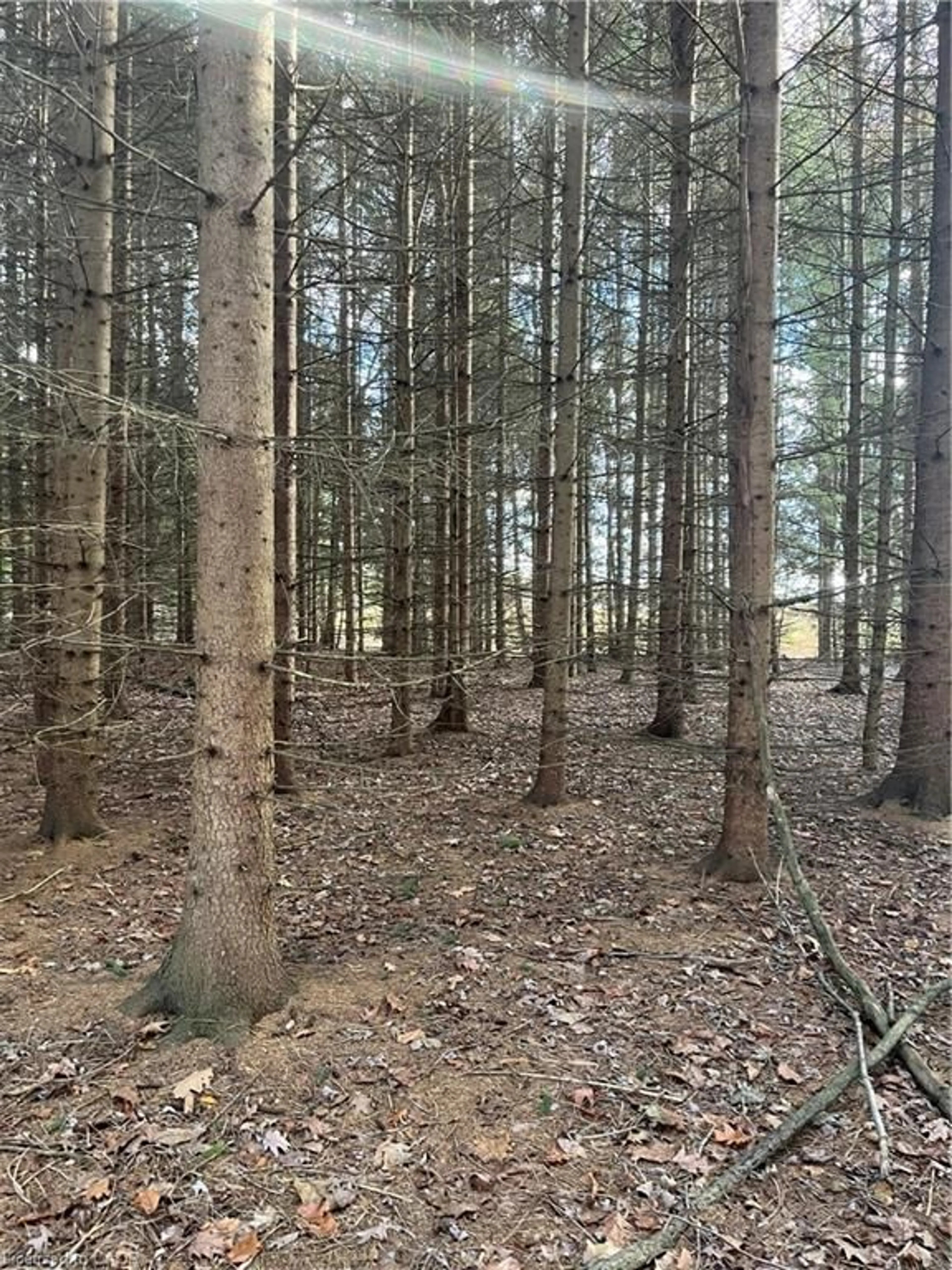 Blurry image for 1665 1st Concession Road Str, Delhi Ontario N4B 2W6