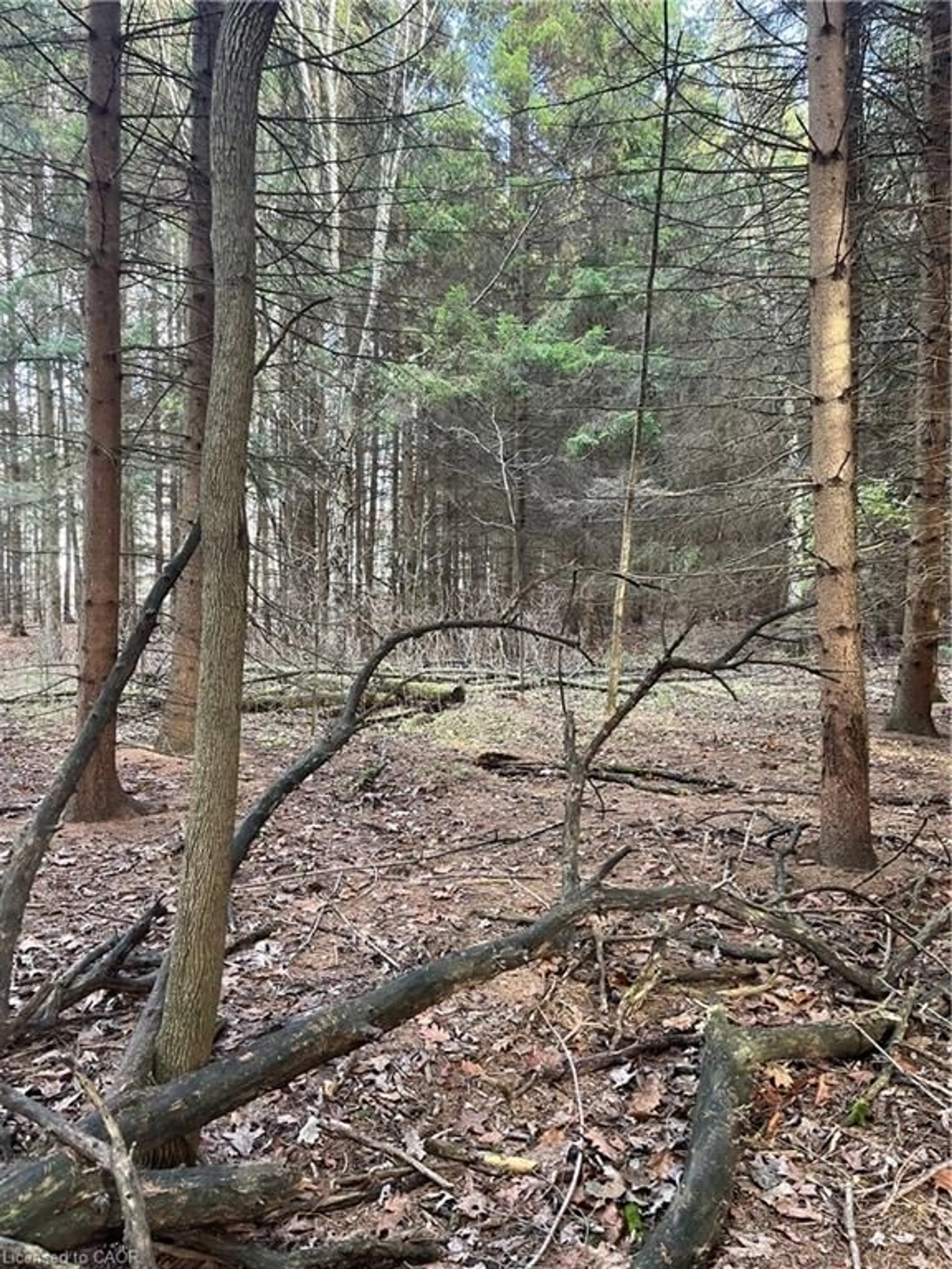 Blurry image for 1665 1st Concession Road Str, Delhi Ontario N4B 2W6