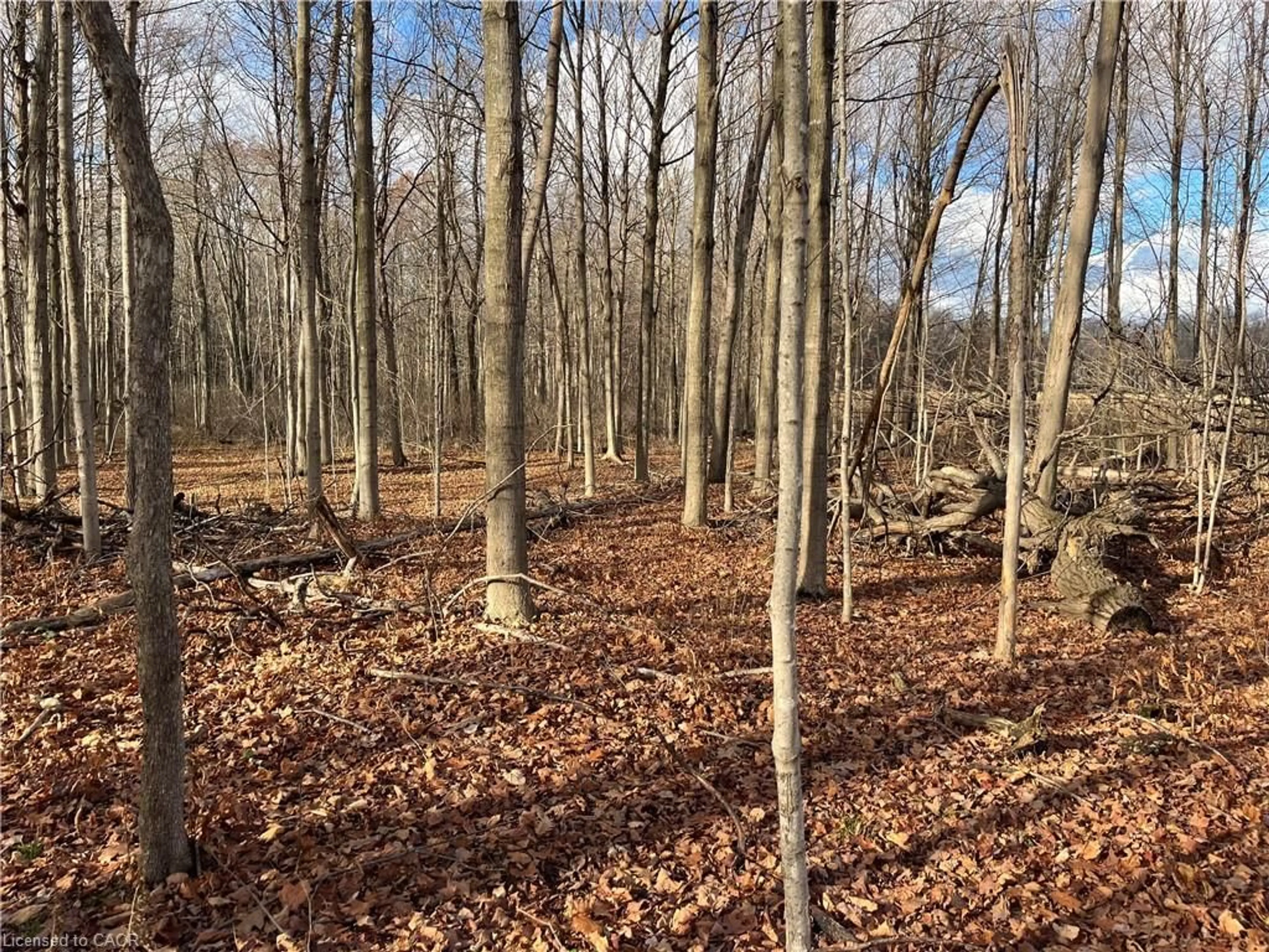 Unknown for 1665 1st Concession Road Str, Delhi Ontario N4B 2W6