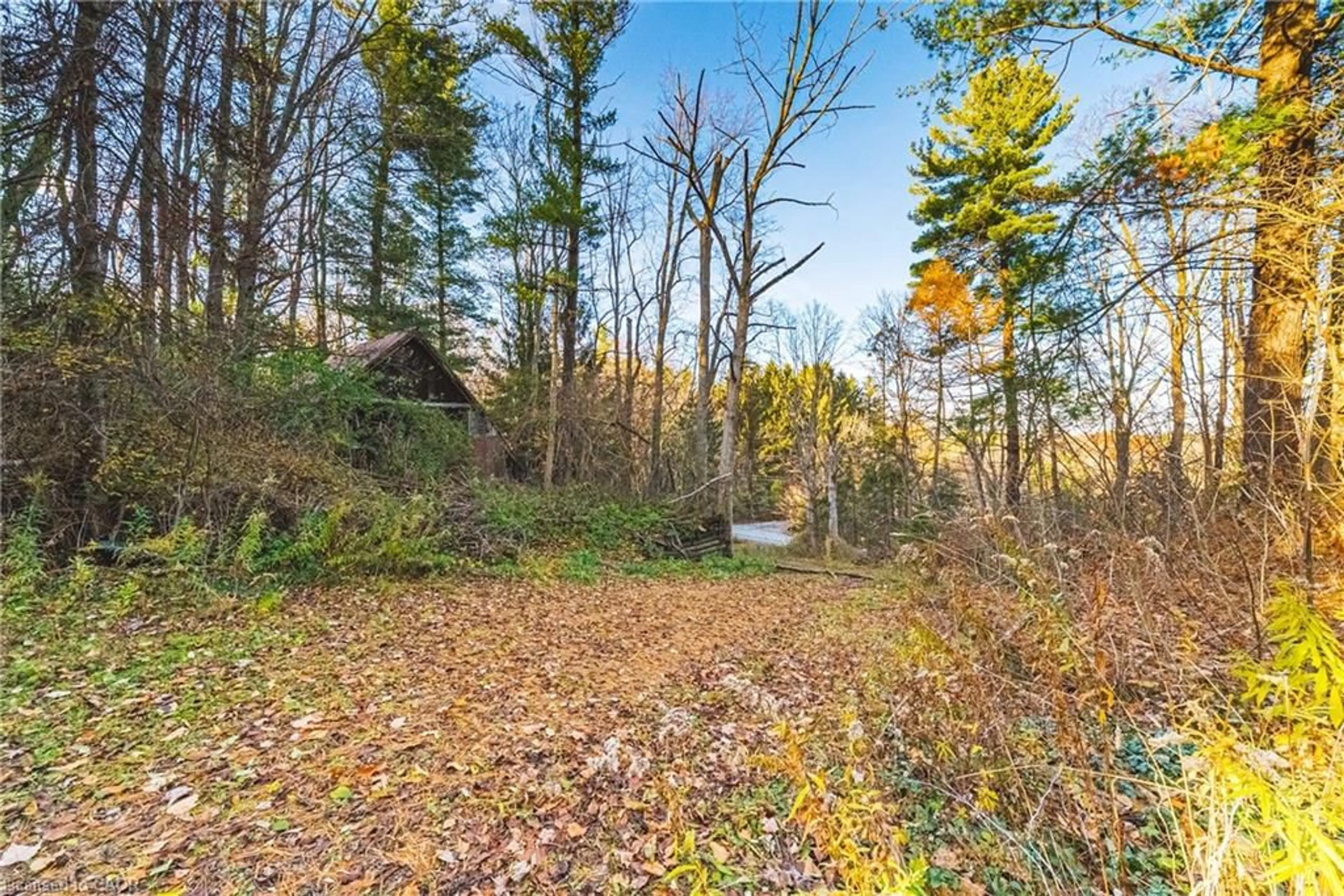 Shed for 1296 Mineral Springs Rd, Ancaster Ontario L9H 5E3