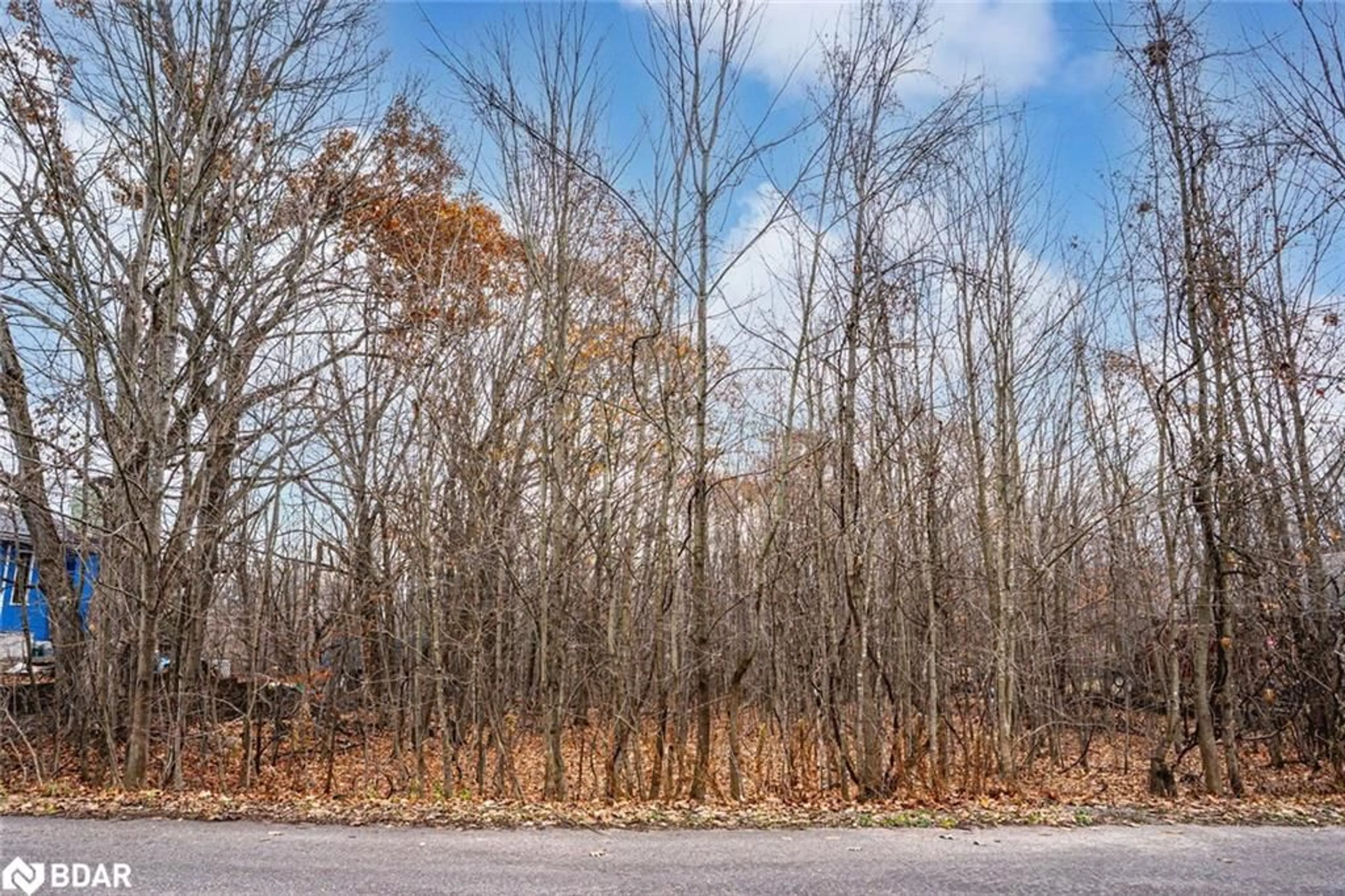 Unknown for 17 Valleyview Dr, Moonstone Ontario L0K 1N0