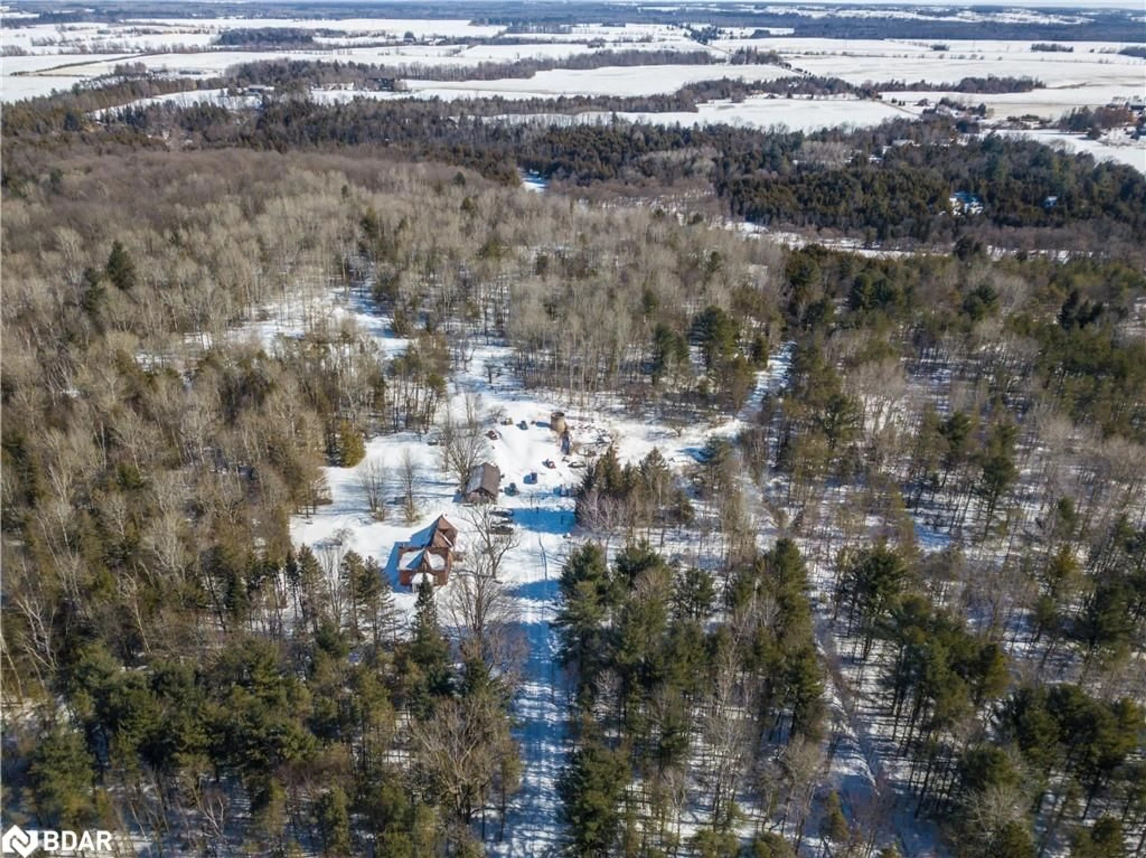 A pic from outside/outdoor area/front of a property/back of a property/a pic from drone, forest/trees view for 8137 4th Line, Angus Ontario L0M 1B0