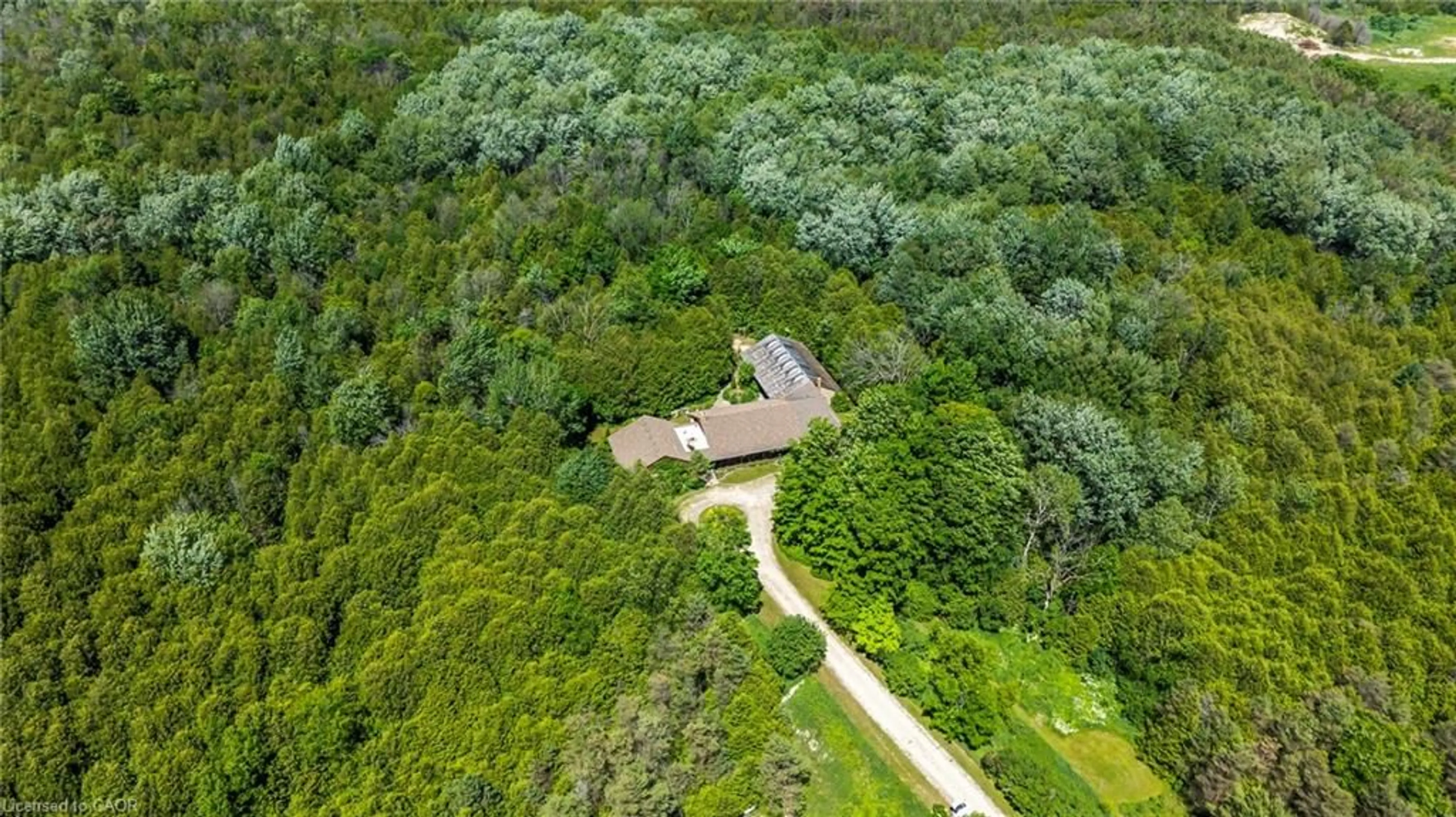 A pic from outside/outdoor area/front of a property/back of a property/a pic from drone, forest/trees view for 302783 Douglas St, Durham Ontario N0G 1R0