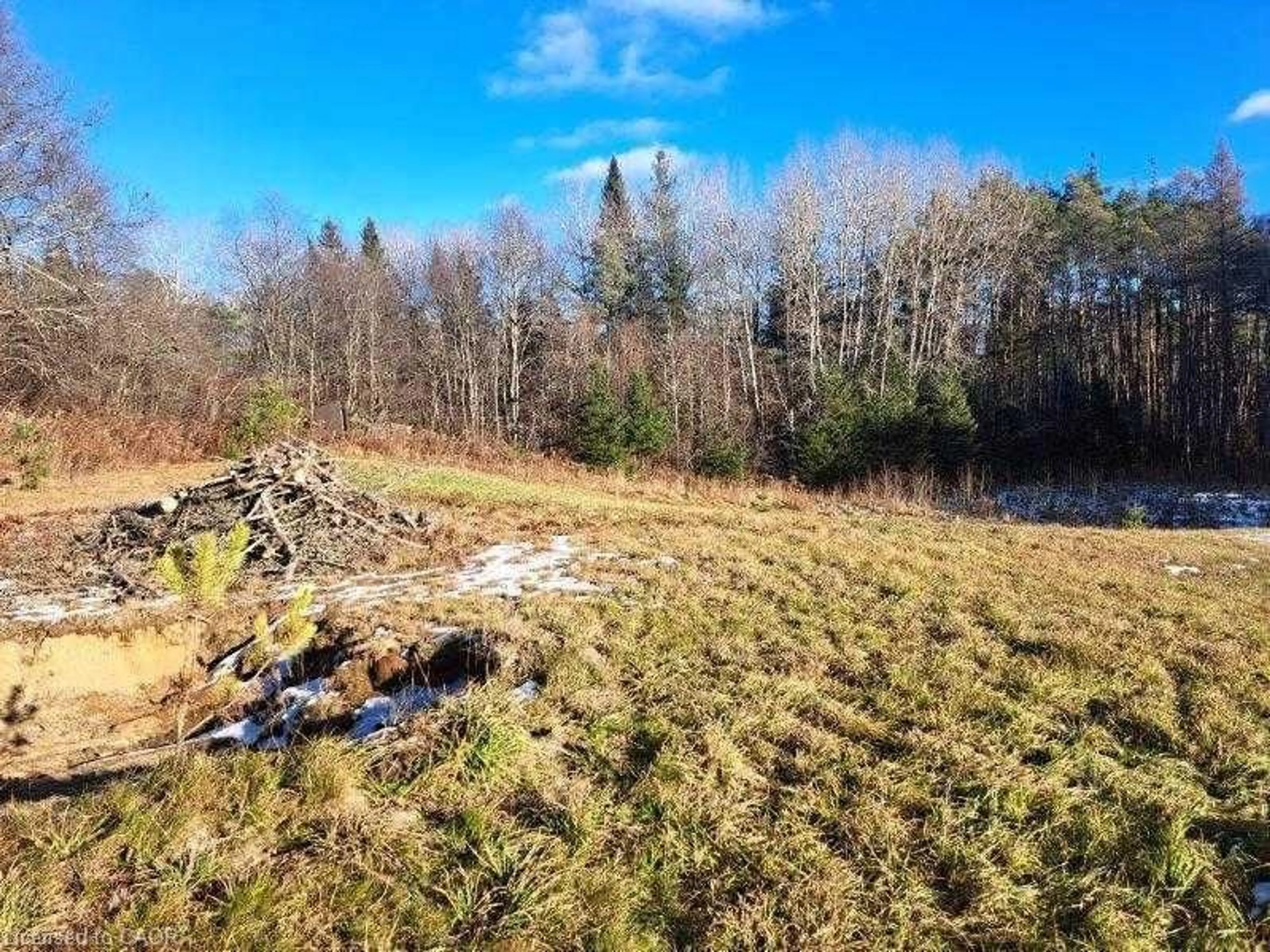 A pic from outside/outdoor area/front of a property/back of a property/a pic from drone, forest/trees view for 109 Three Mile Lake Rd, Parry Sound Ontario P0A 1J0