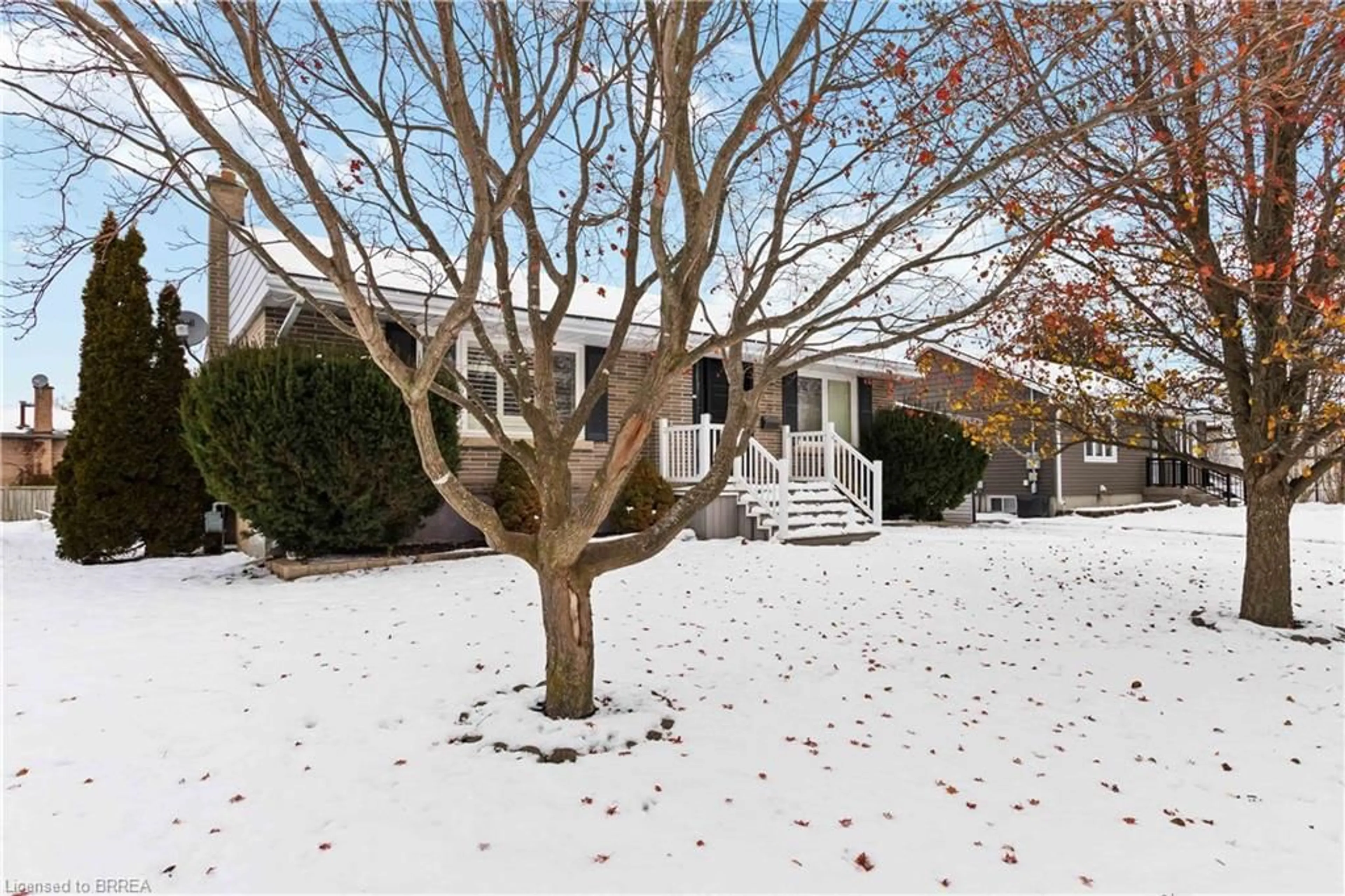 Unknown for 10 Albemarle St, Brantford Ontario N3S 4N2