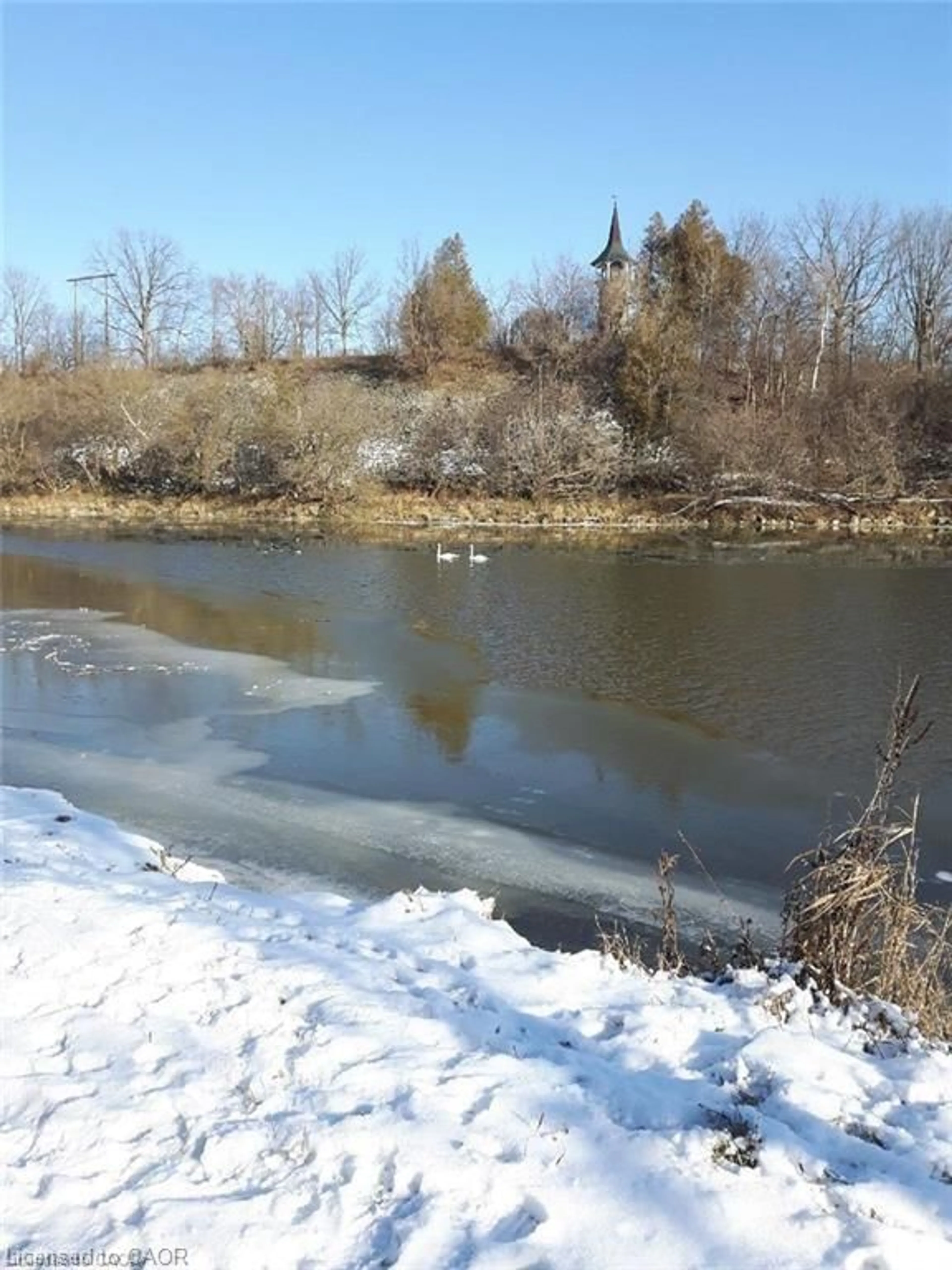 Blurry image for 54 Roos St, Kitchener Ontario N2P 1H9