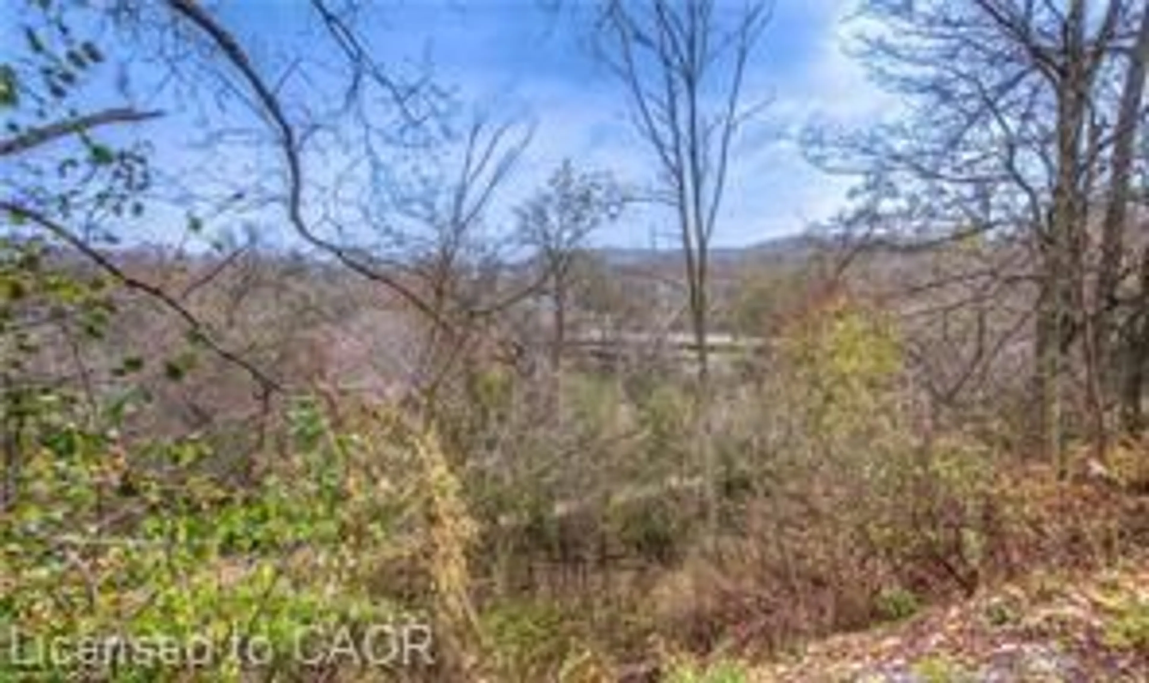 A pic from outside/outdoor area/front of a property/back of a property/a pic from drone, water/lake/river/ocean view for 54 Roos St, Kitchener Ontario N2P 1H9