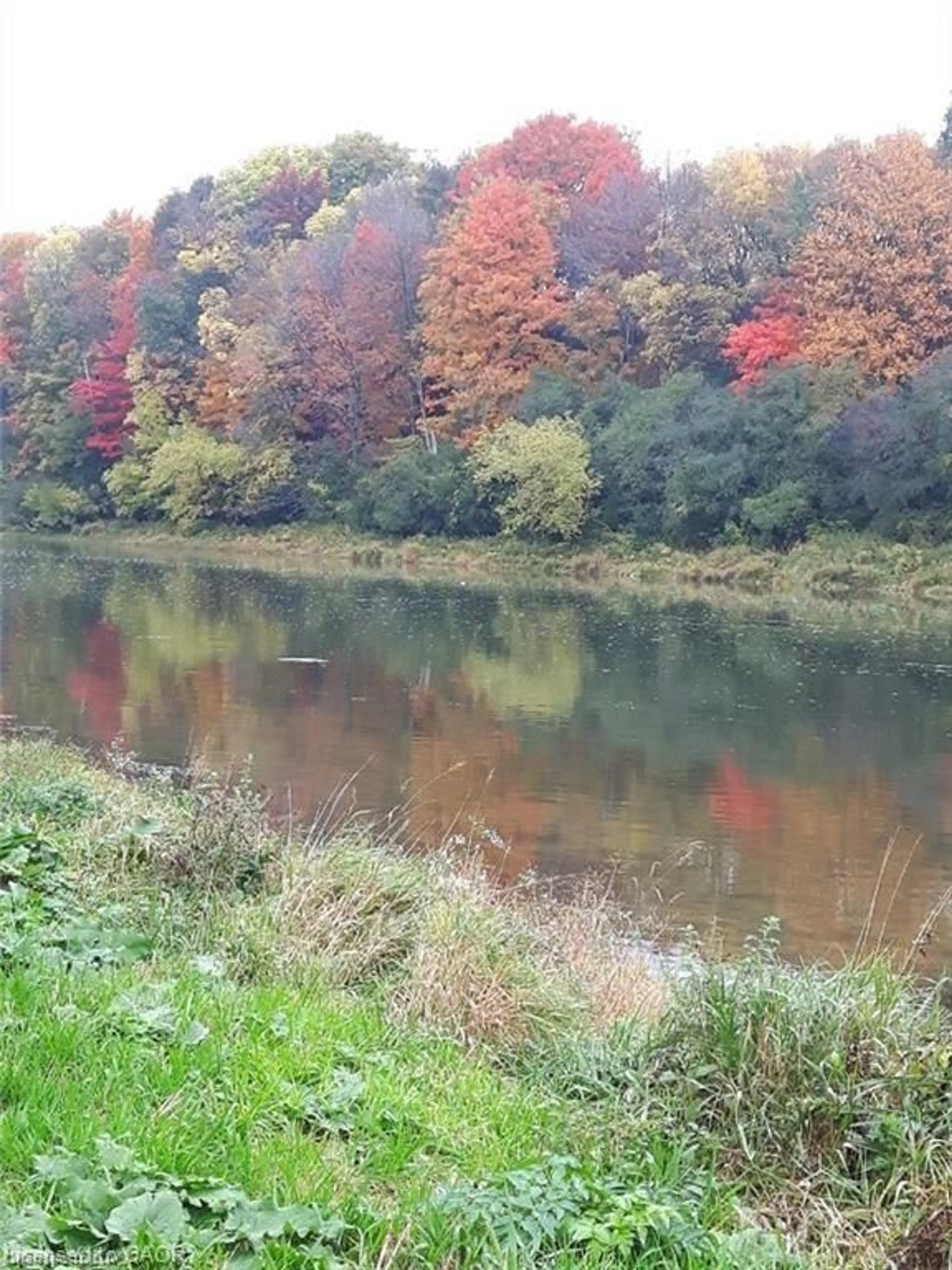 Blurry image for 54 Roos St, Kitchener Ontario N2P 1H9