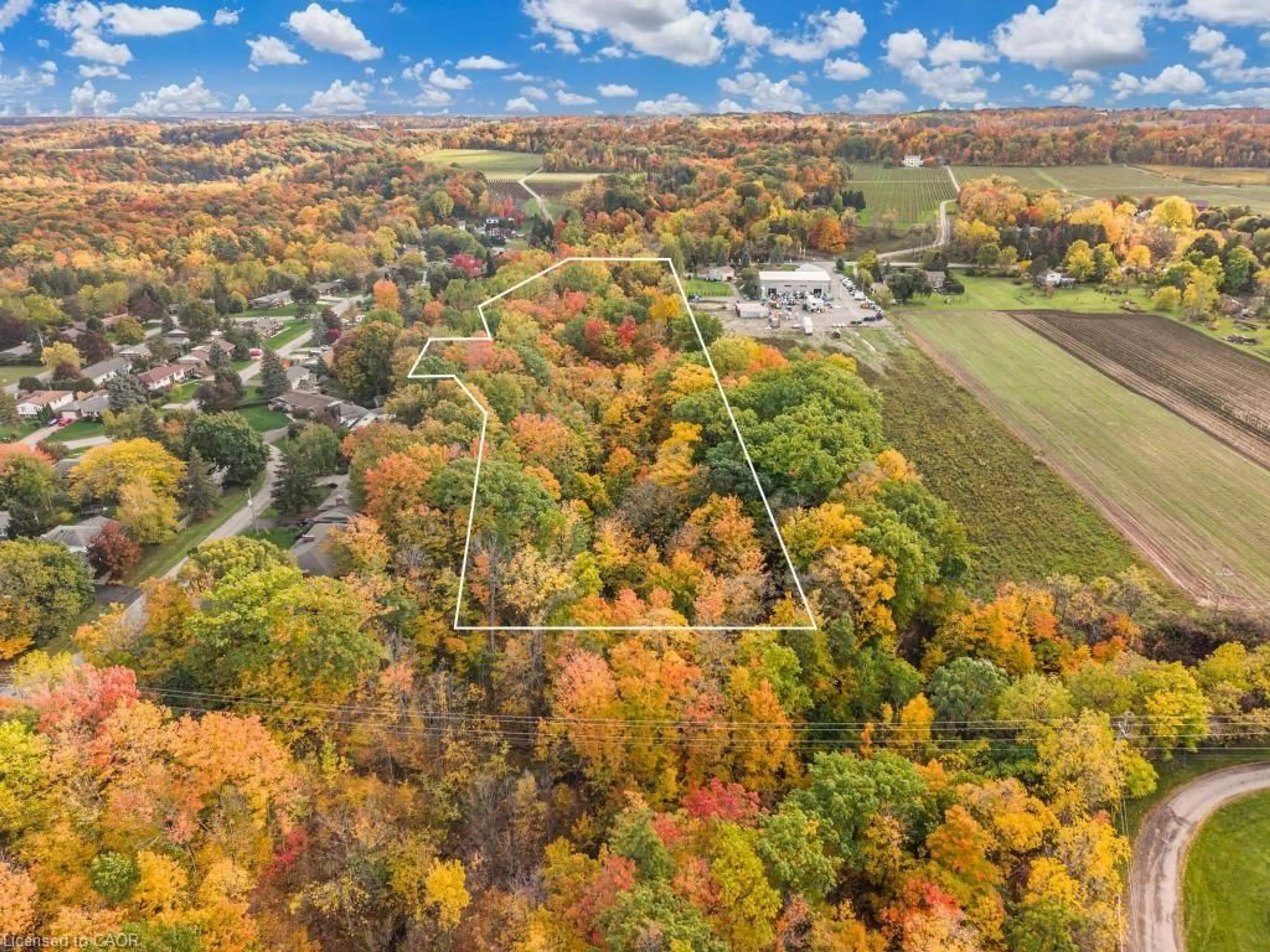 A pic from outside/outdoor area/front of a property/back of a property/a pic from drone, forest/trees view for 3169 King St, Vineland Ontario L0R 2C0