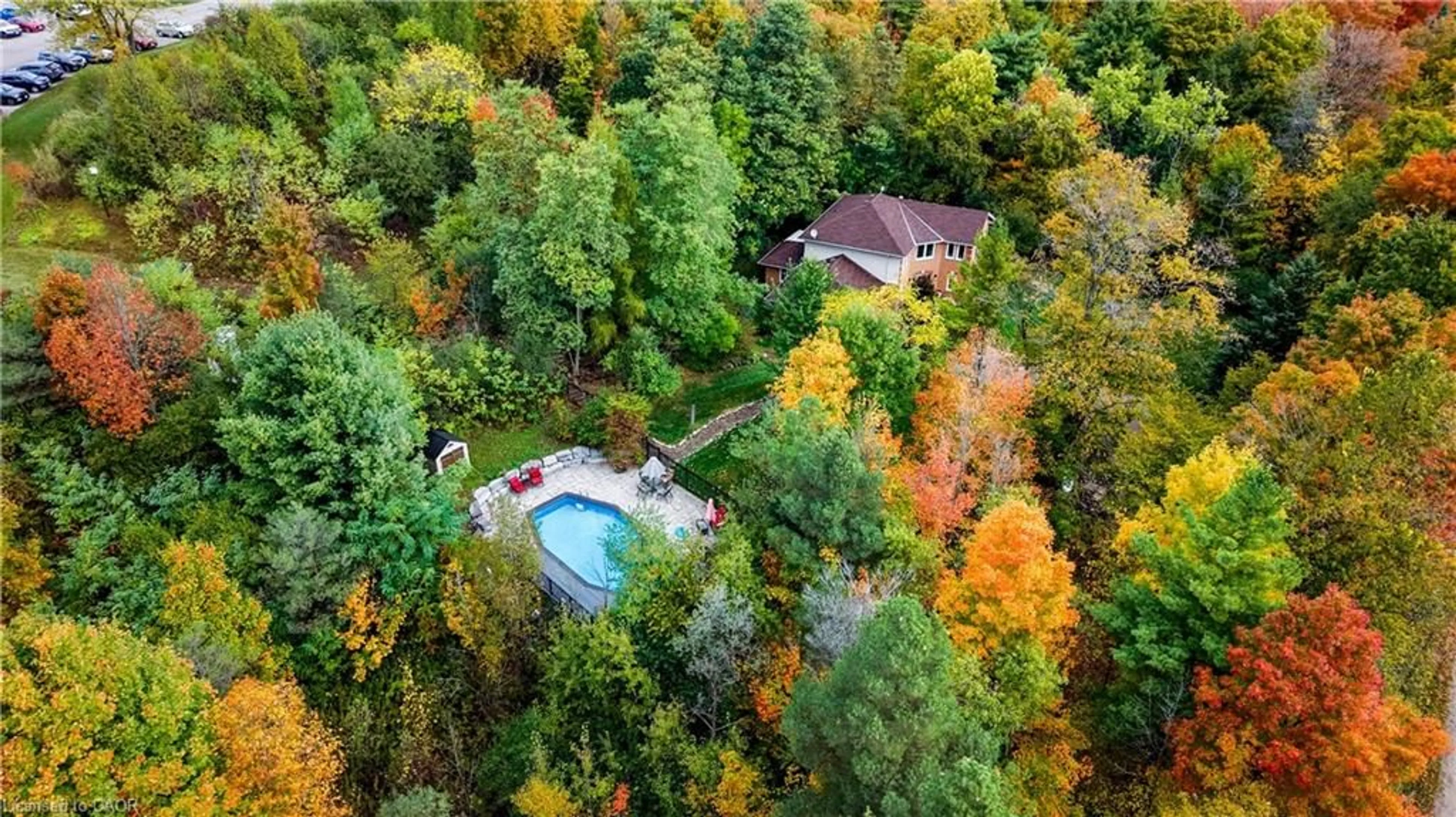 A pic from outside/outdoor area/front of a property/back of a property/a pic from drone, forest/trees view for 7664 Maltby Rd, Puslinch Ontario N0B 2J0