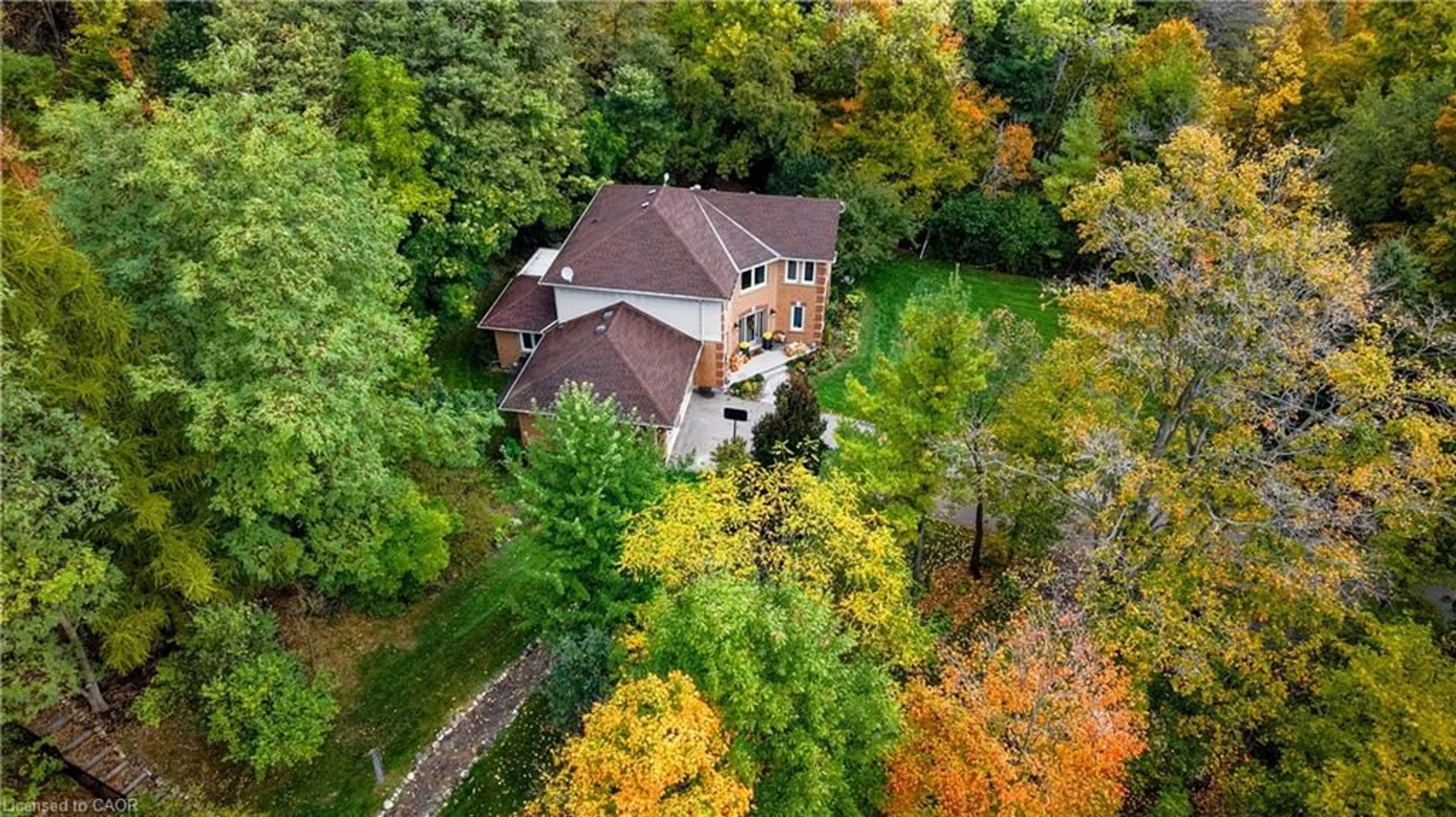 A pic from outside/outdoor area/front of a property/back of a property/a pic from drone, forest/trees view for 7664 Maltby Rd, Puslinch Ontario N0B 2J0