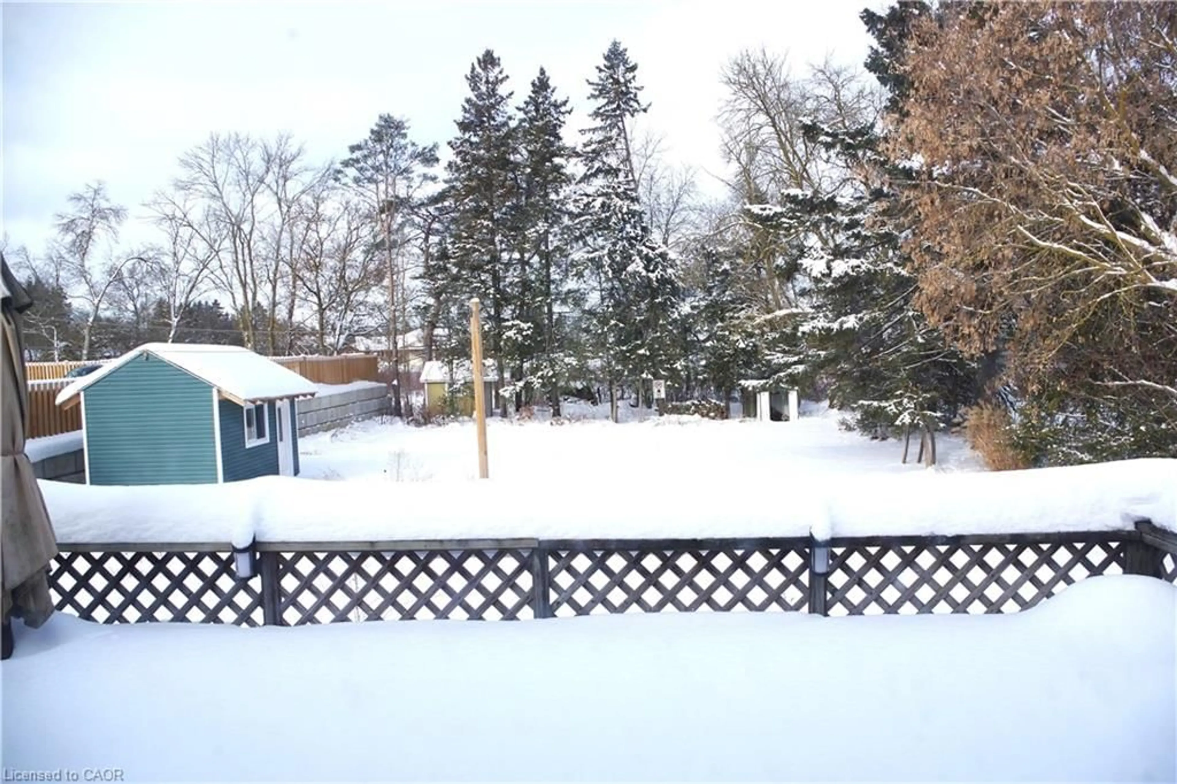 Unknown for 425 Wellington St, Mount Forest Ontario N0G 2L2