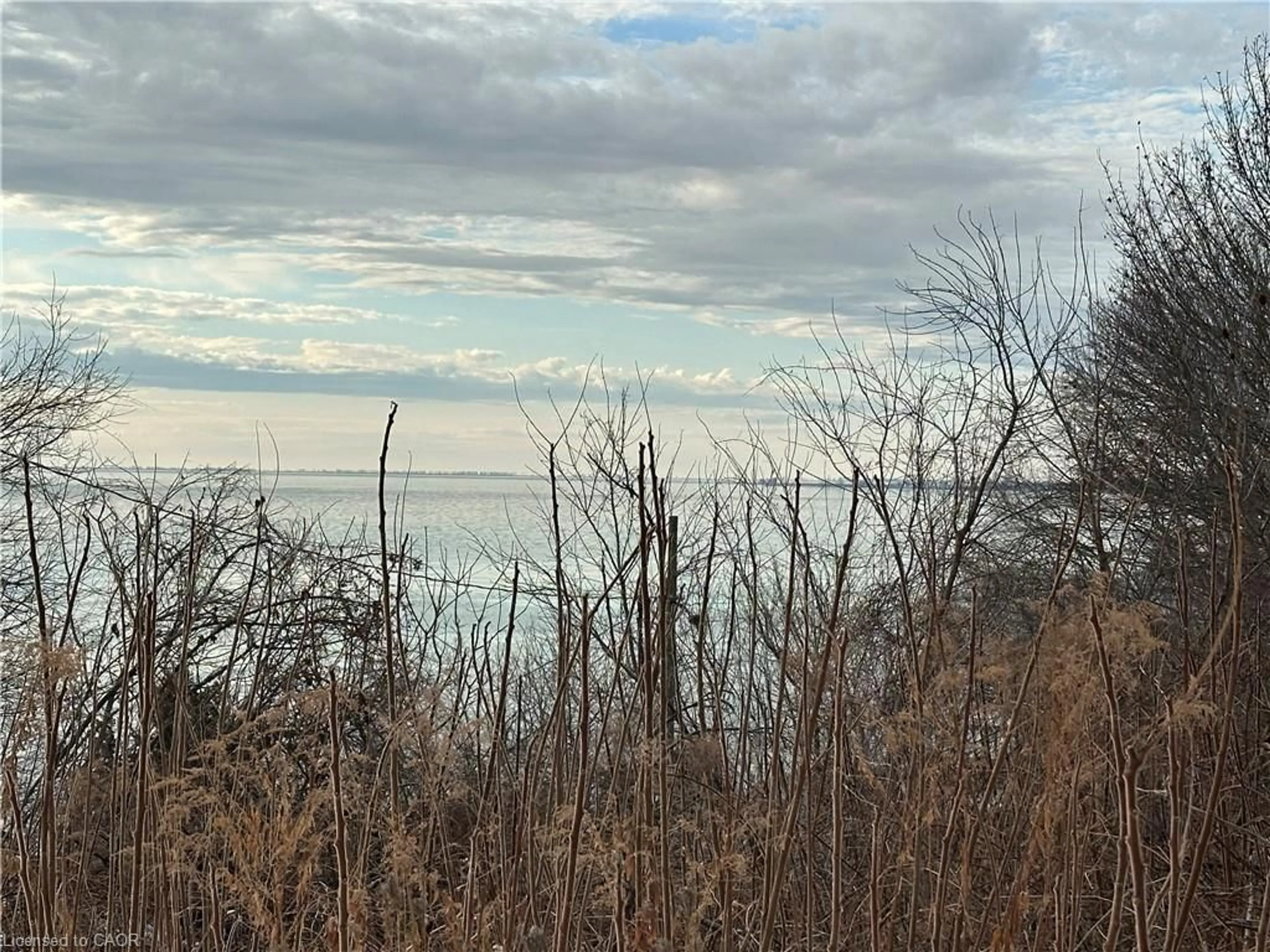 Blurry image for PT LT 25-27 Hillside Ave, Simcoe Ontario N0E 1T0