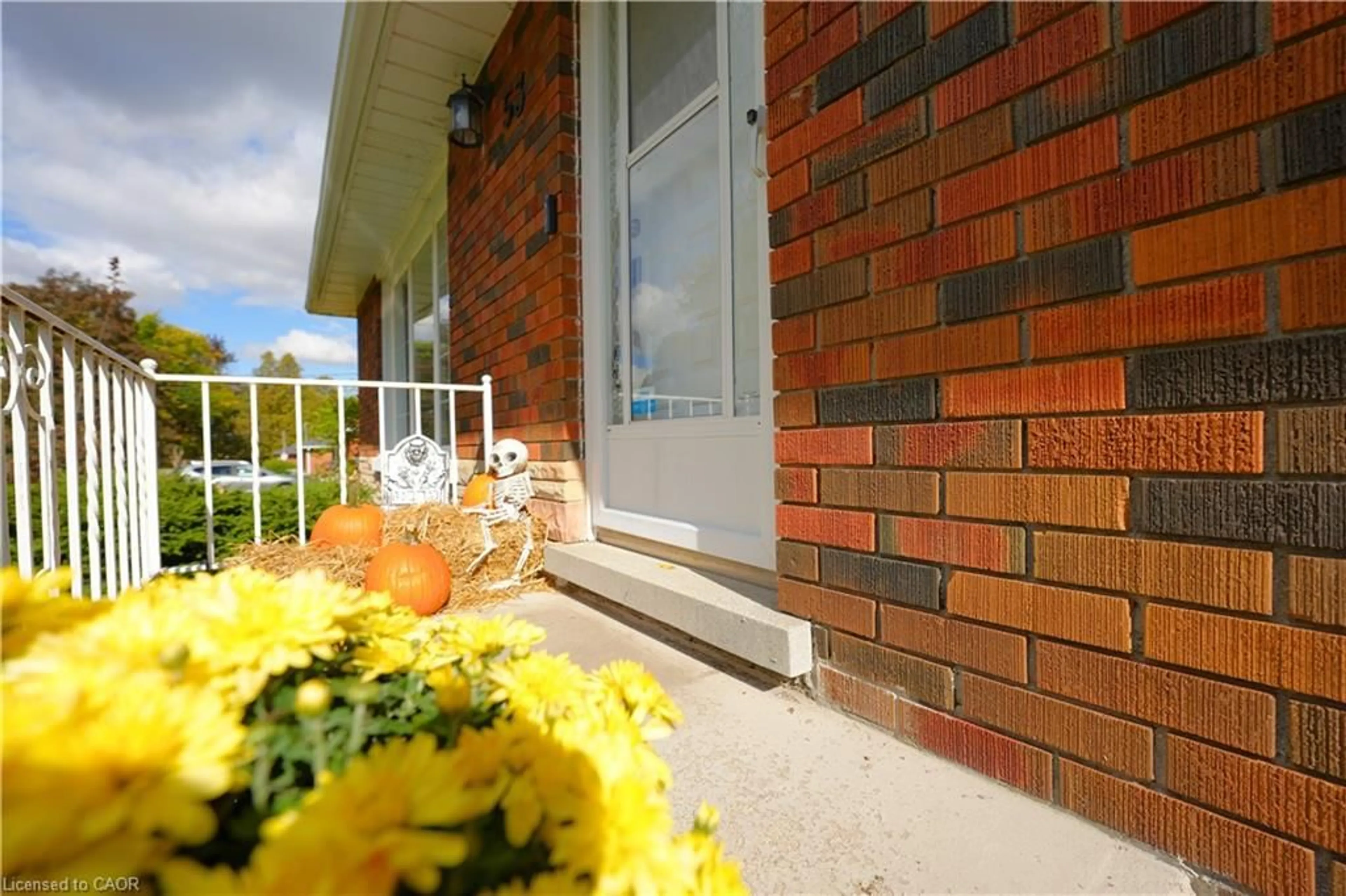 Patio, street for 53 Freeman Ave, Guelph Ontario N1H 4S9