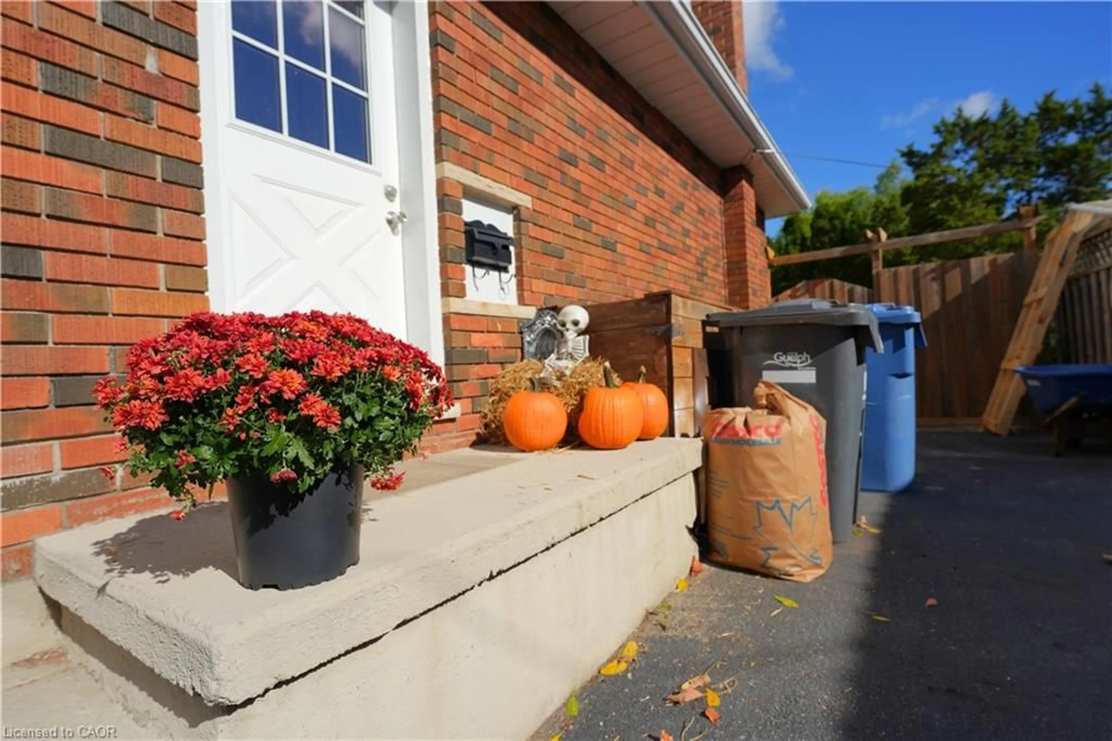 Patio, street for 53 Freeman Ave, Guelph Ontario N1H 4S9