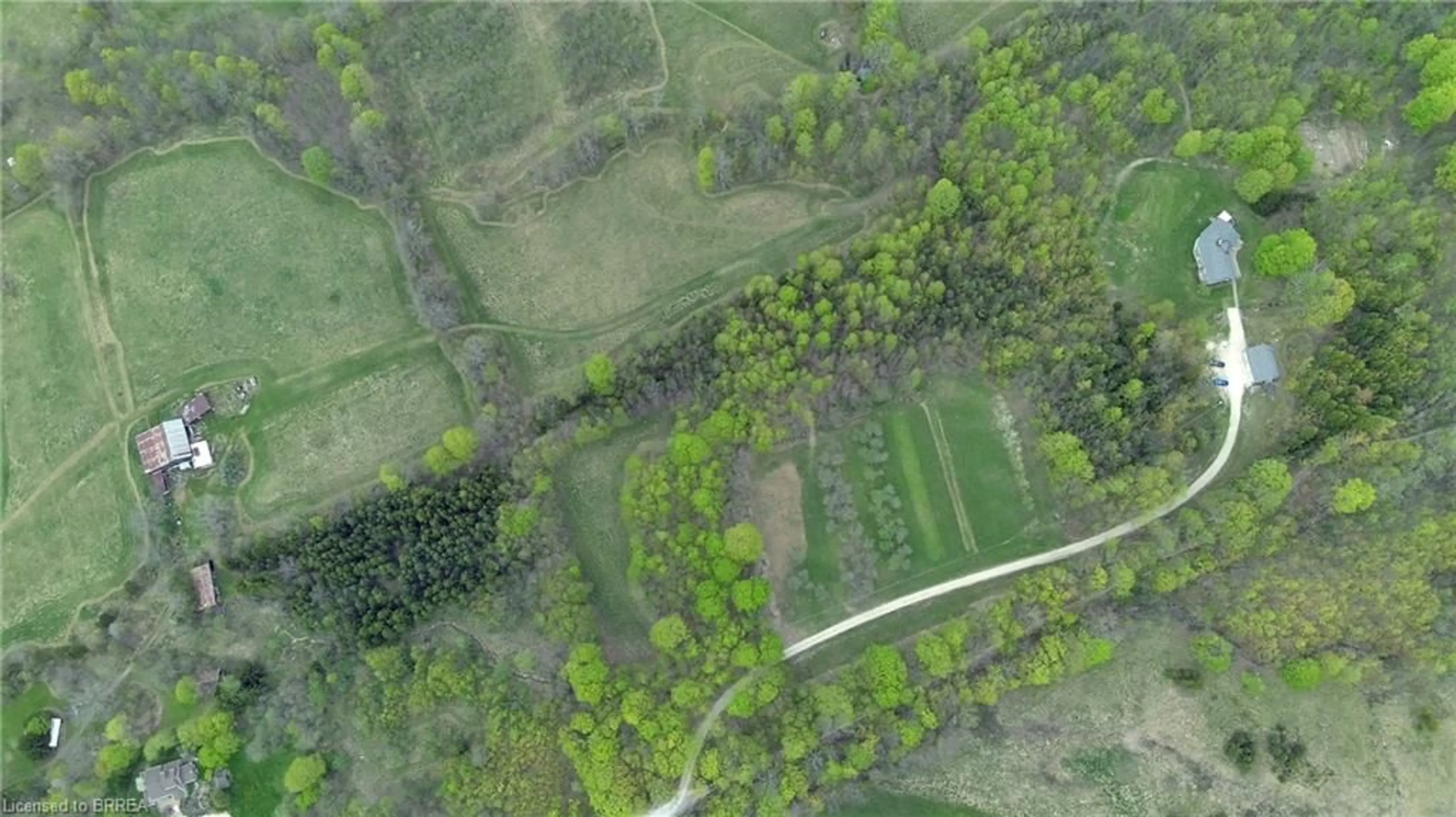 A pic from outside/outdoor area/front of a property/back of a property/a pic from drone, forest/trees view for 546299 Sideroad 4b, Kimberley Ontario N0C 1G0