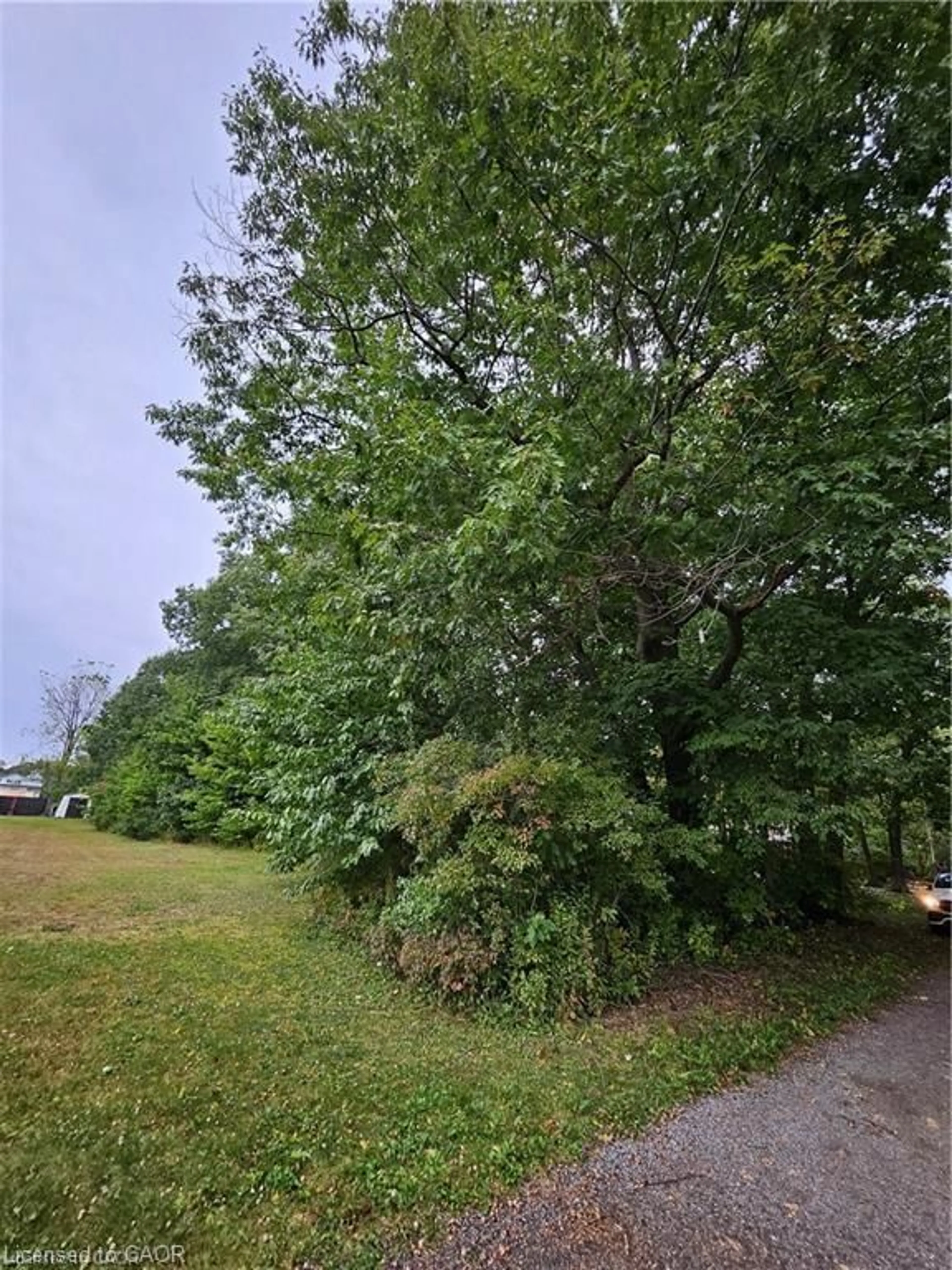 A pic from outside/outdoor area/front of a property/back of a property/a pic from drone, forest/trees view for LOT 120 Mohawk Ave, Fort Erie Ontario L0S 1N0