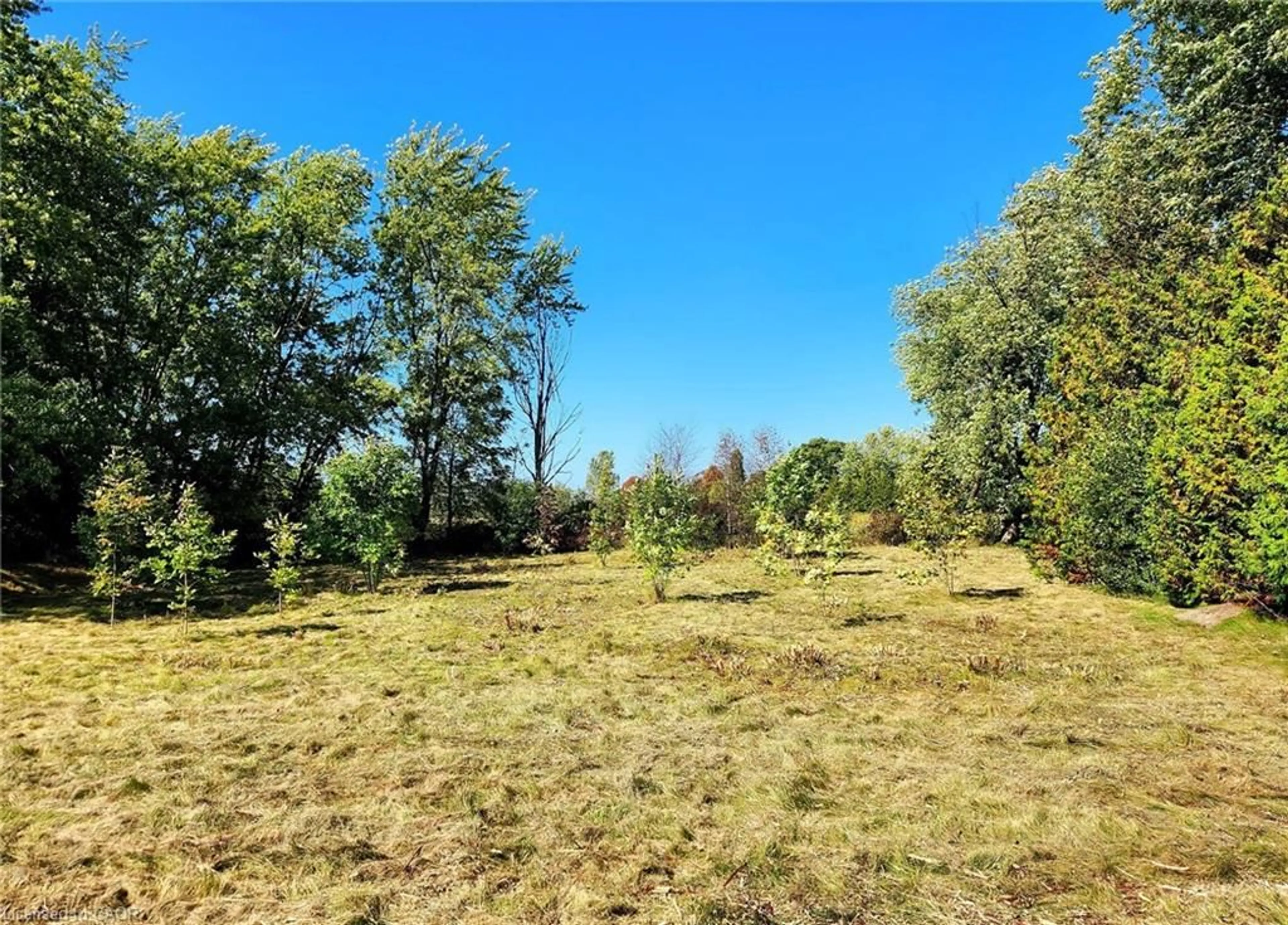 A pic from outside/outdoor area/front of a property/back of a property/a pic from drone, forest/trees view for 7 William St, Port Albert Ontario N7A 3X9