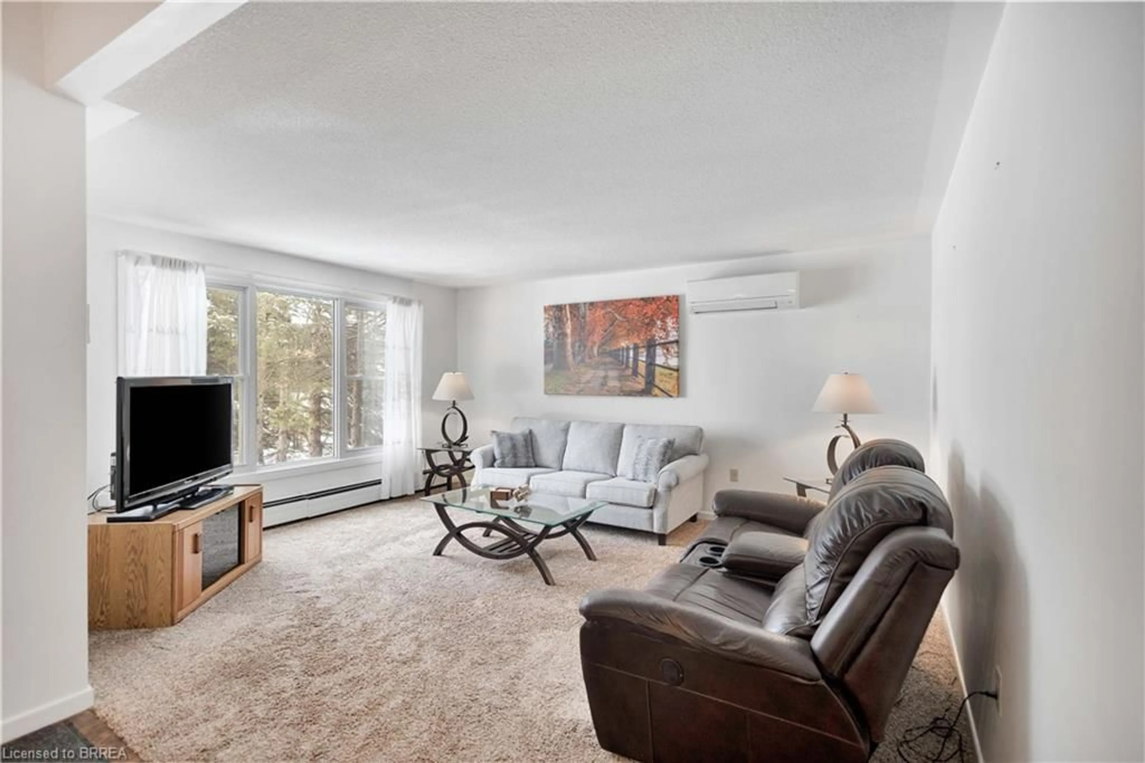 Living room with furniture, carpet floor for 2210 1st Conc Rd Str Conc, Delhi Ontario N4B 2W4