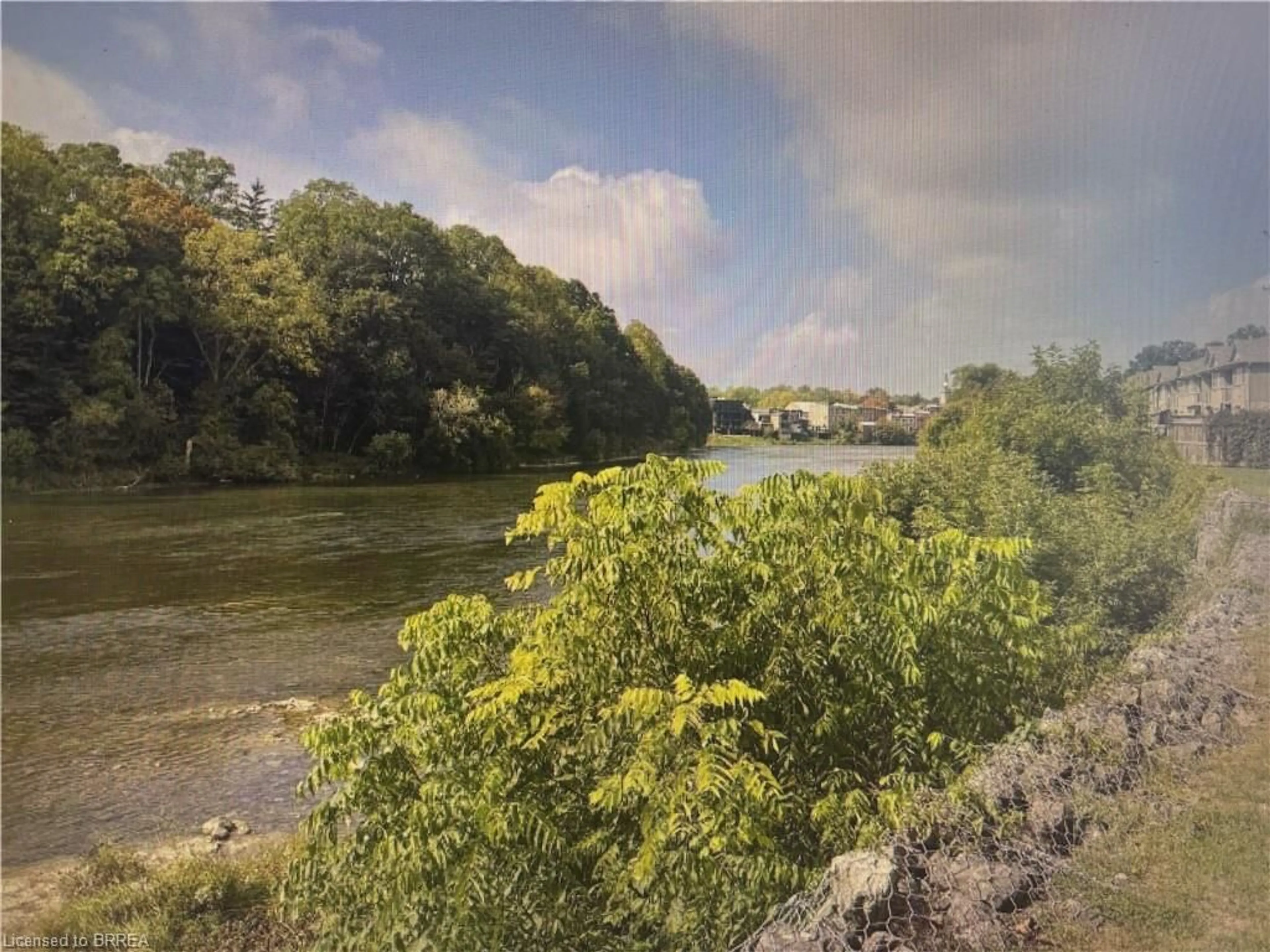 Blurry image for 60 Willow St, Paris Ontario N3L 2K6