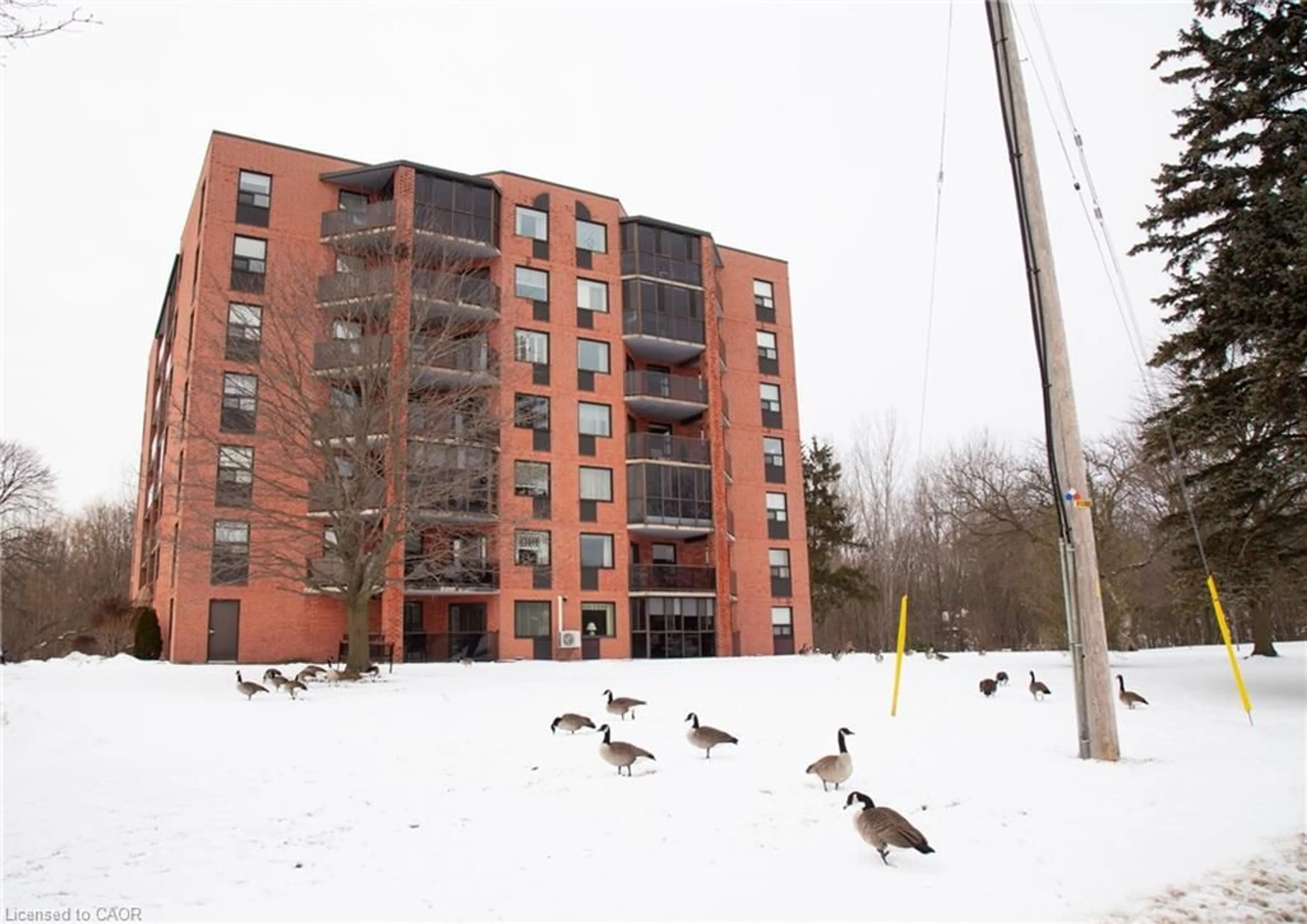 Unknown for 5 Mill Pond Crt #704, Simcoe Ontario N3Y 5J6