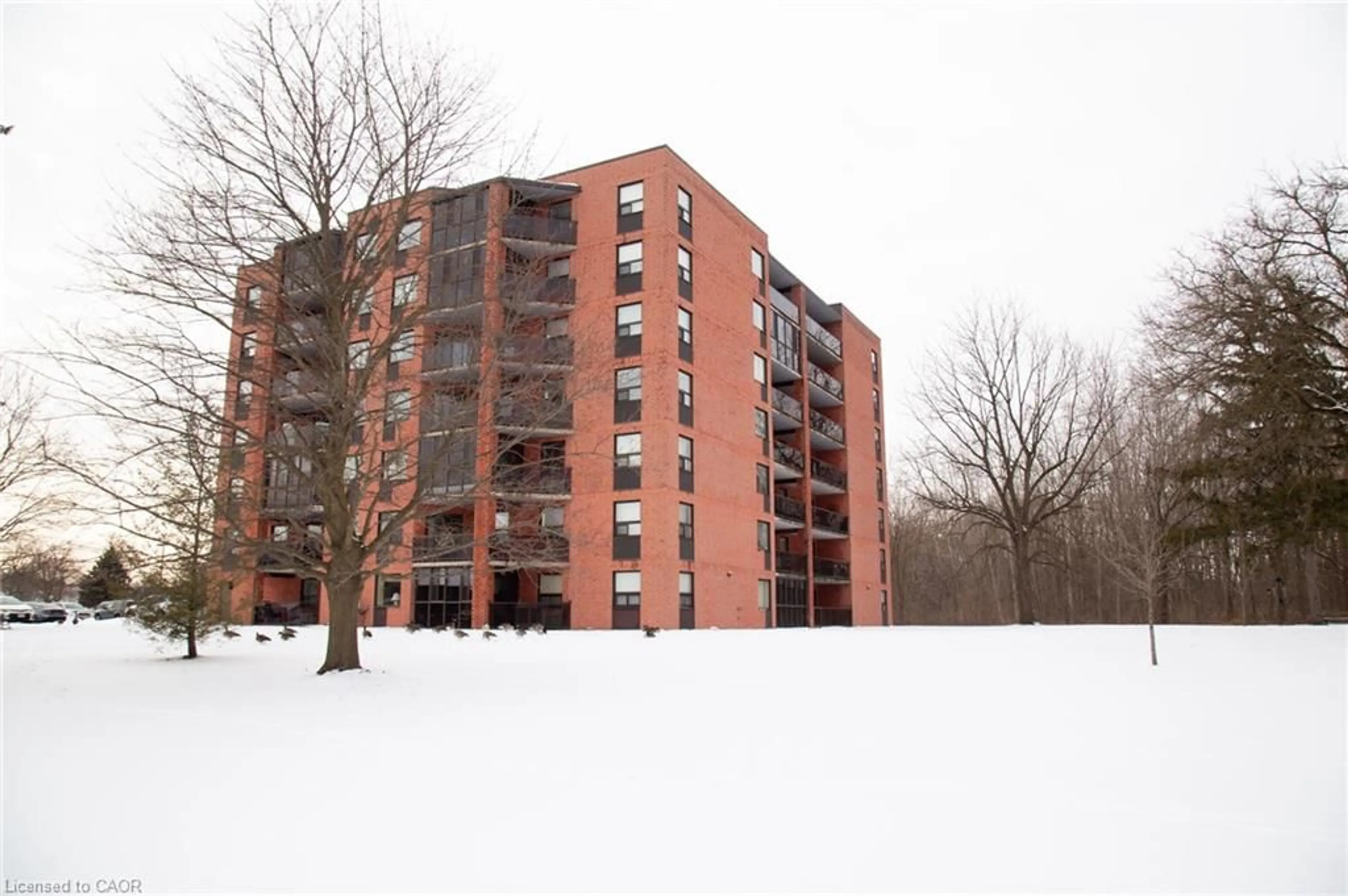 Patio, building for 5 Mill Pond Crt #704, Simcoe Ontario N3Y 5J6