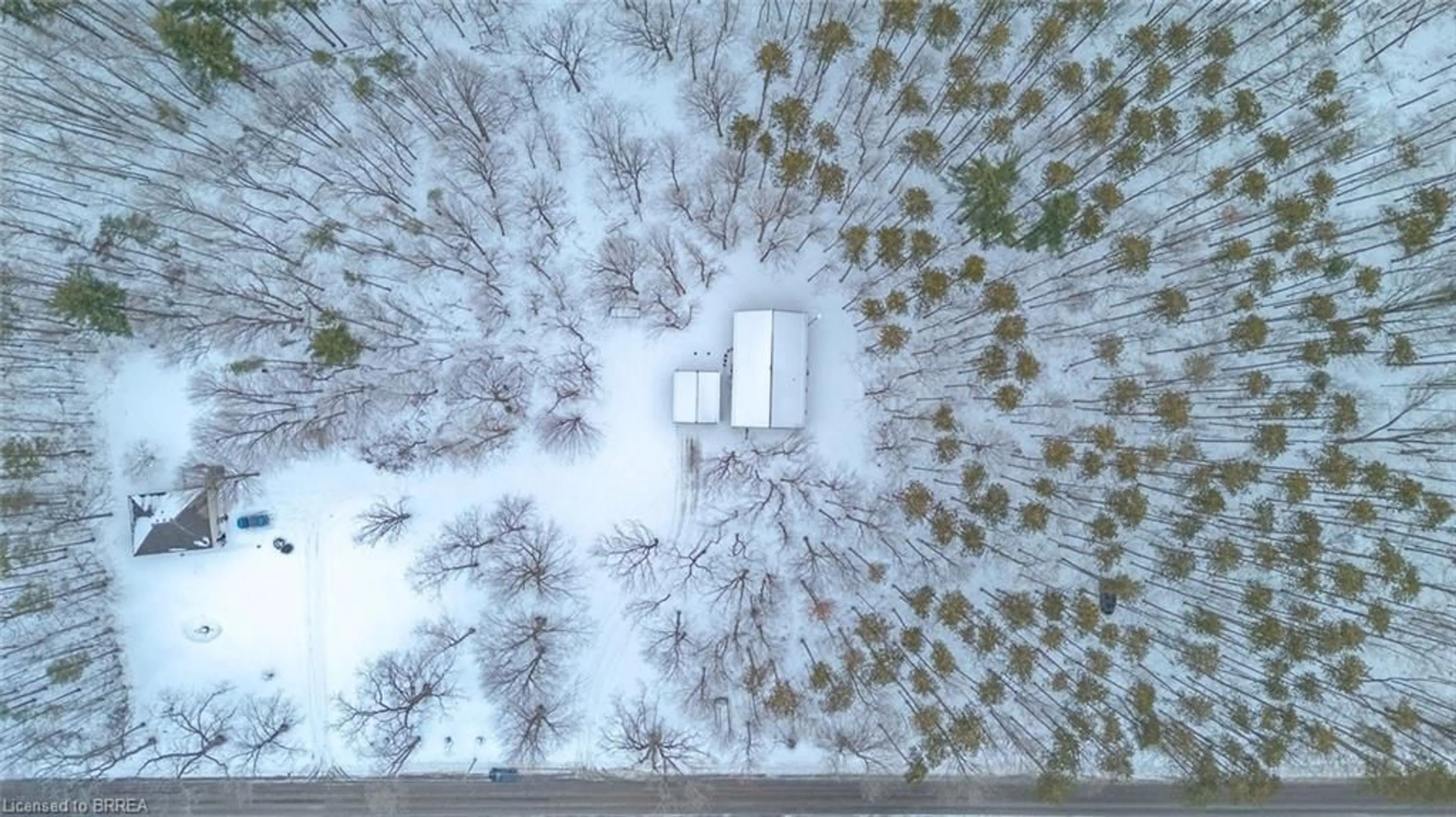 A pic from outside/outdoor area/front of a property/back of a property/a pic from drone, forest/trees view for 1498 12th Concession Rd, Langton Ontario N0E 1G0