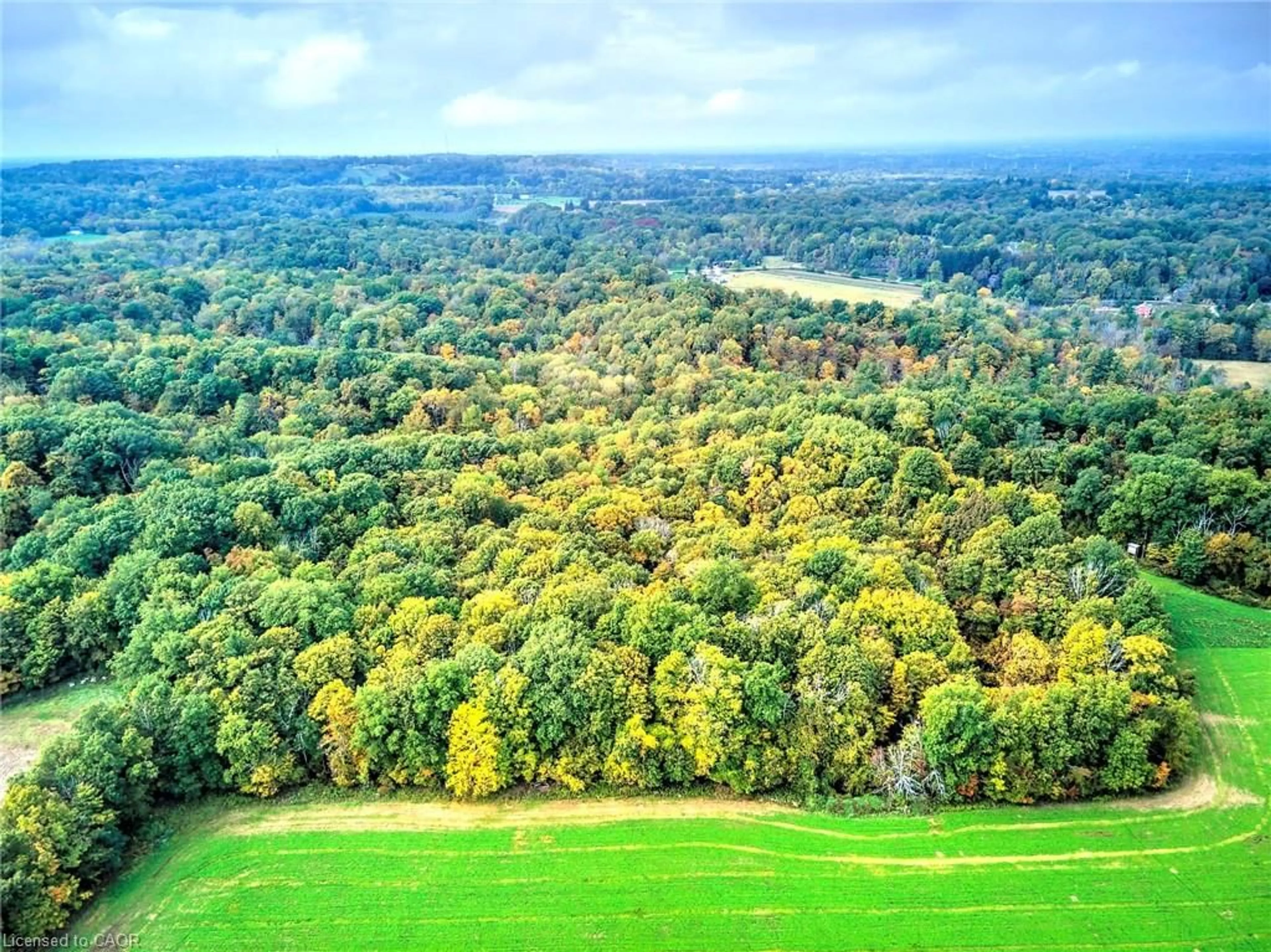 A pic from outside/outdoor area/front of a property/back of a property/a pic from drone, forest/trees view for 154&155 Lot, Thorold Ontario L0S 1E6