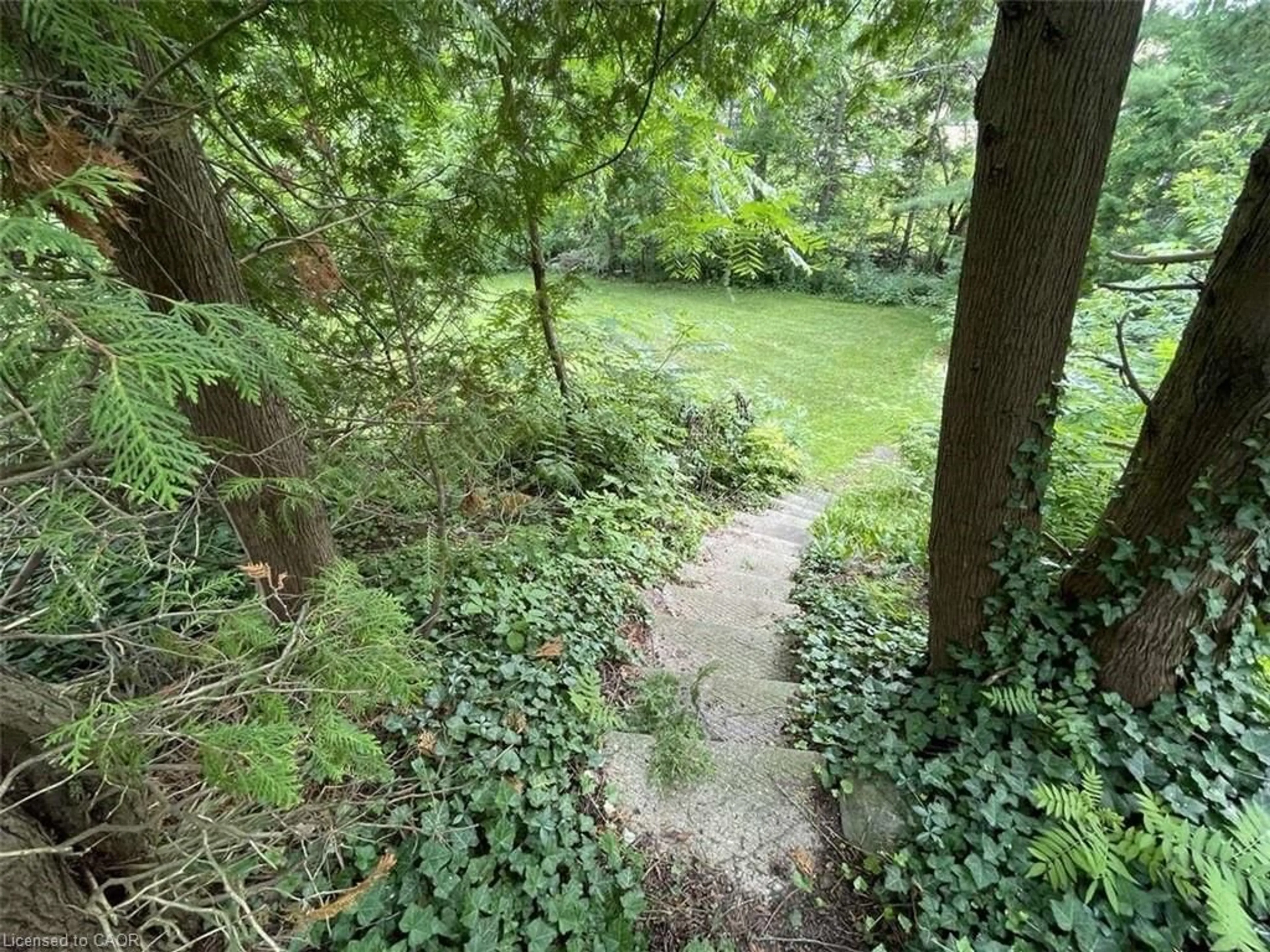 A pic from outside/outdoor area/front of a property/back of a property/a pic from drone, forest/trees view for LOT 9 Cornell Dr, Midland Ontario L4R 4C7