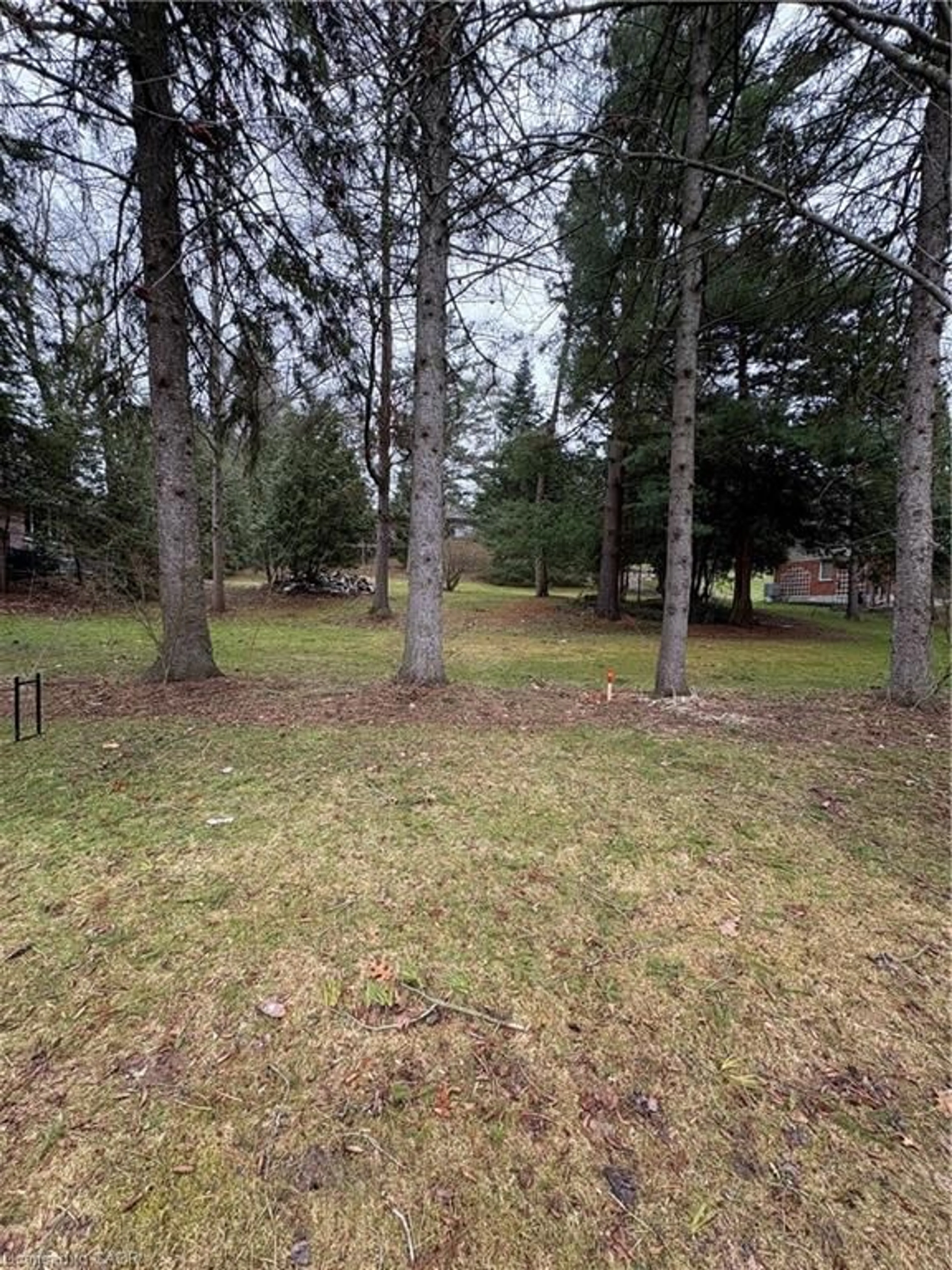 A pic from outside/outdoor area/front of a property/back of a property/a pic from drone, forest/trees view for 154 Mccall Cres, Simcoe Ontario N3Y 2E1