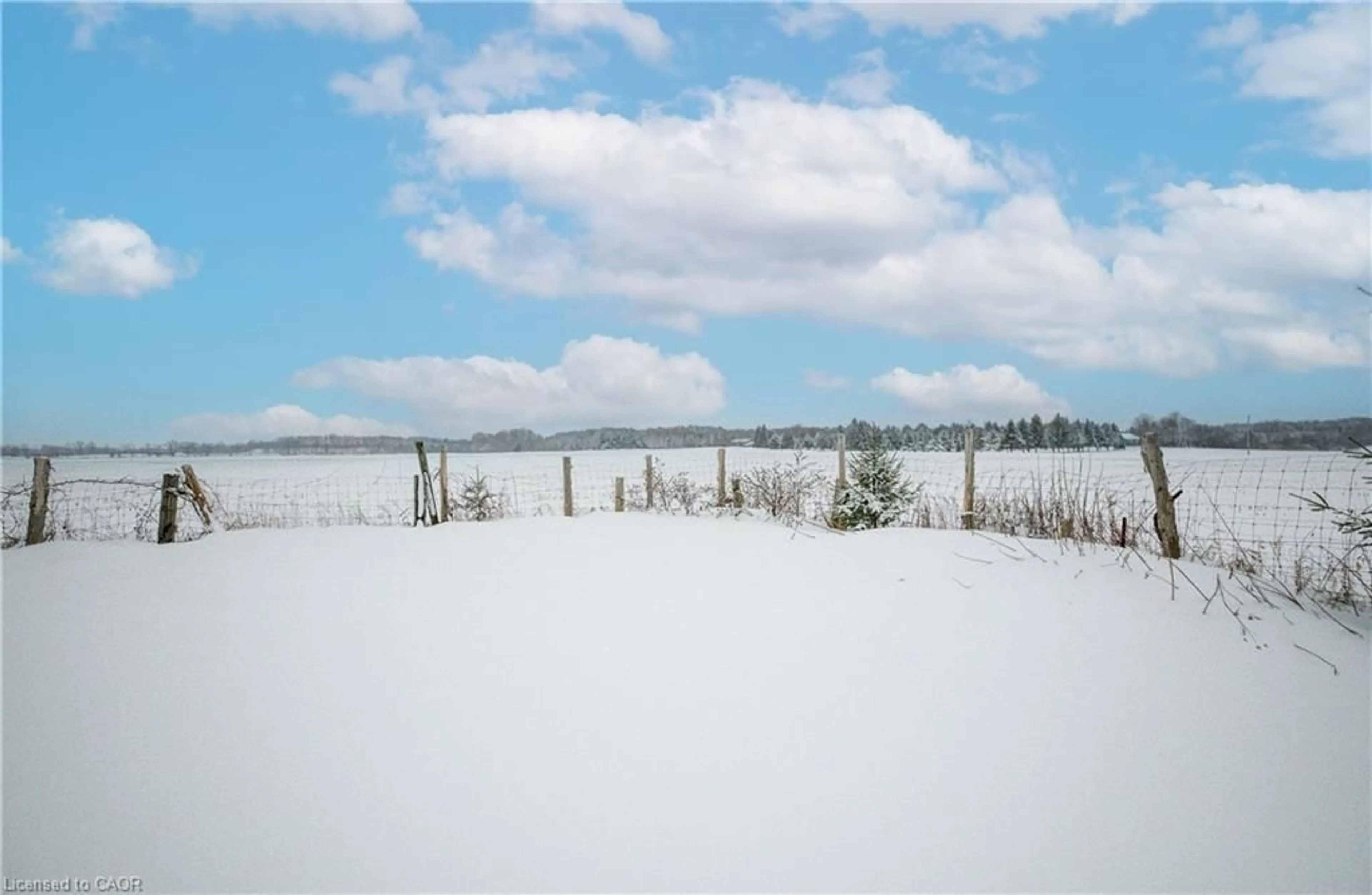 Blurry image for 9429 Sally St, Mount Forest Ontario N0G 2L0