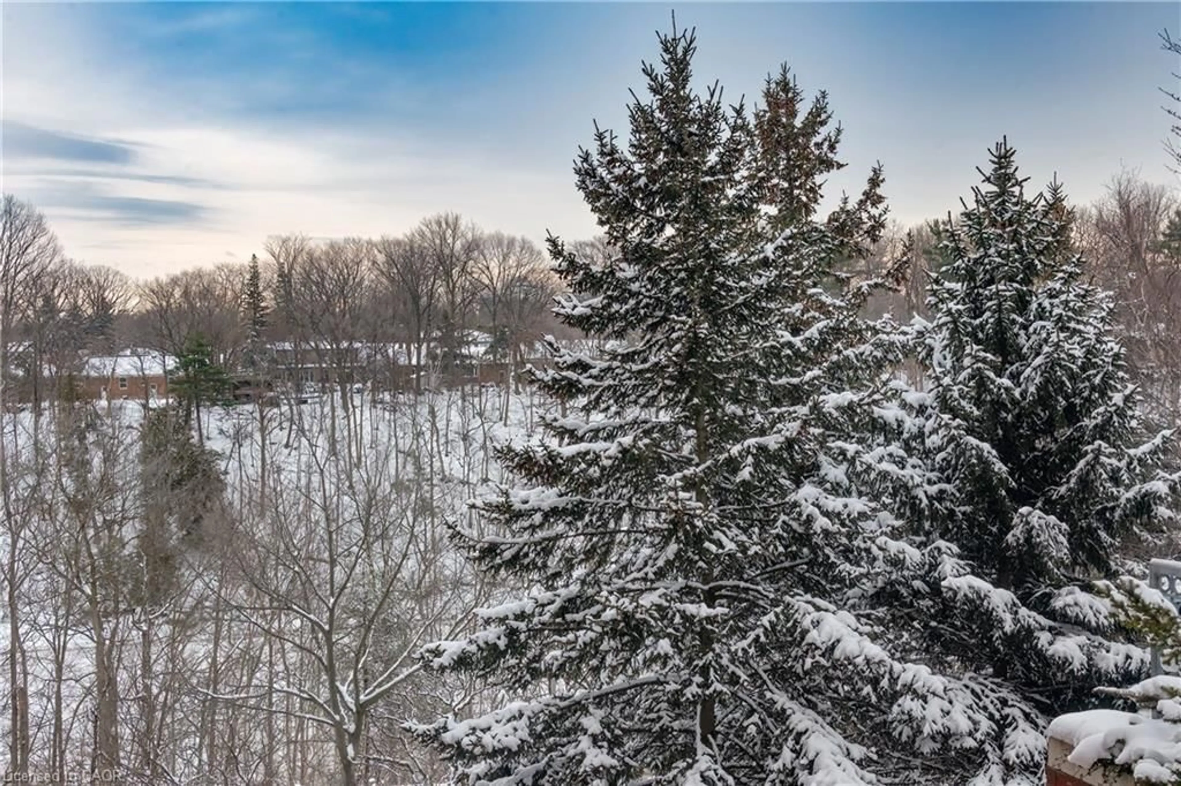A pic from outside/outdoor area/front of a property/back of a property/a pic from drone, forest/trees view for 60 Old Mill Rd #205, Mississauga Ontario L6J 7V9