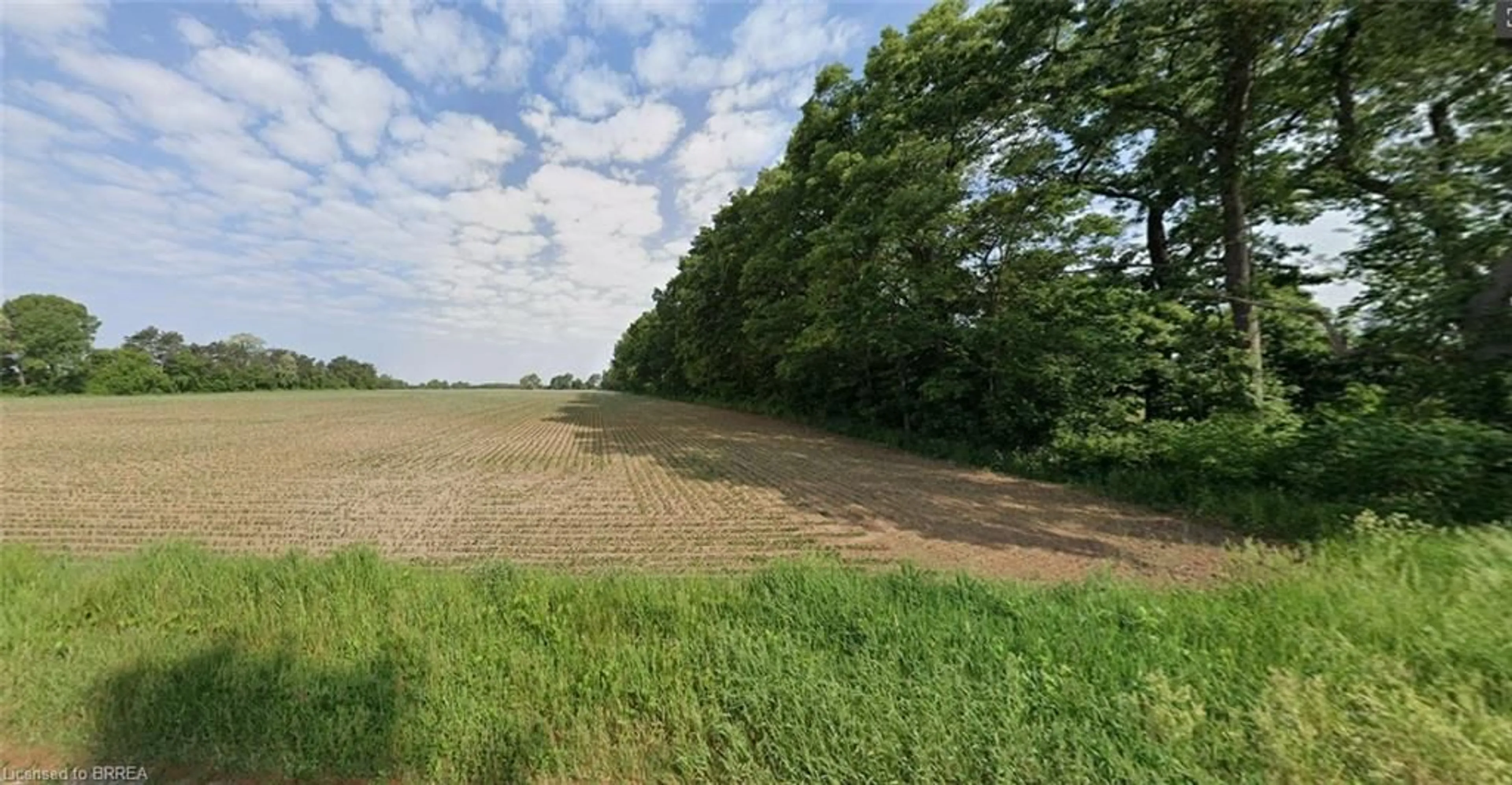 A pic from outside/outdoor area/front of a property/back of a property/a pic from drone, forest/trees view for LOT 23 Concession 4, Charlotteville Ontario N0E 1W0