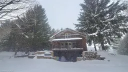 history photo preview