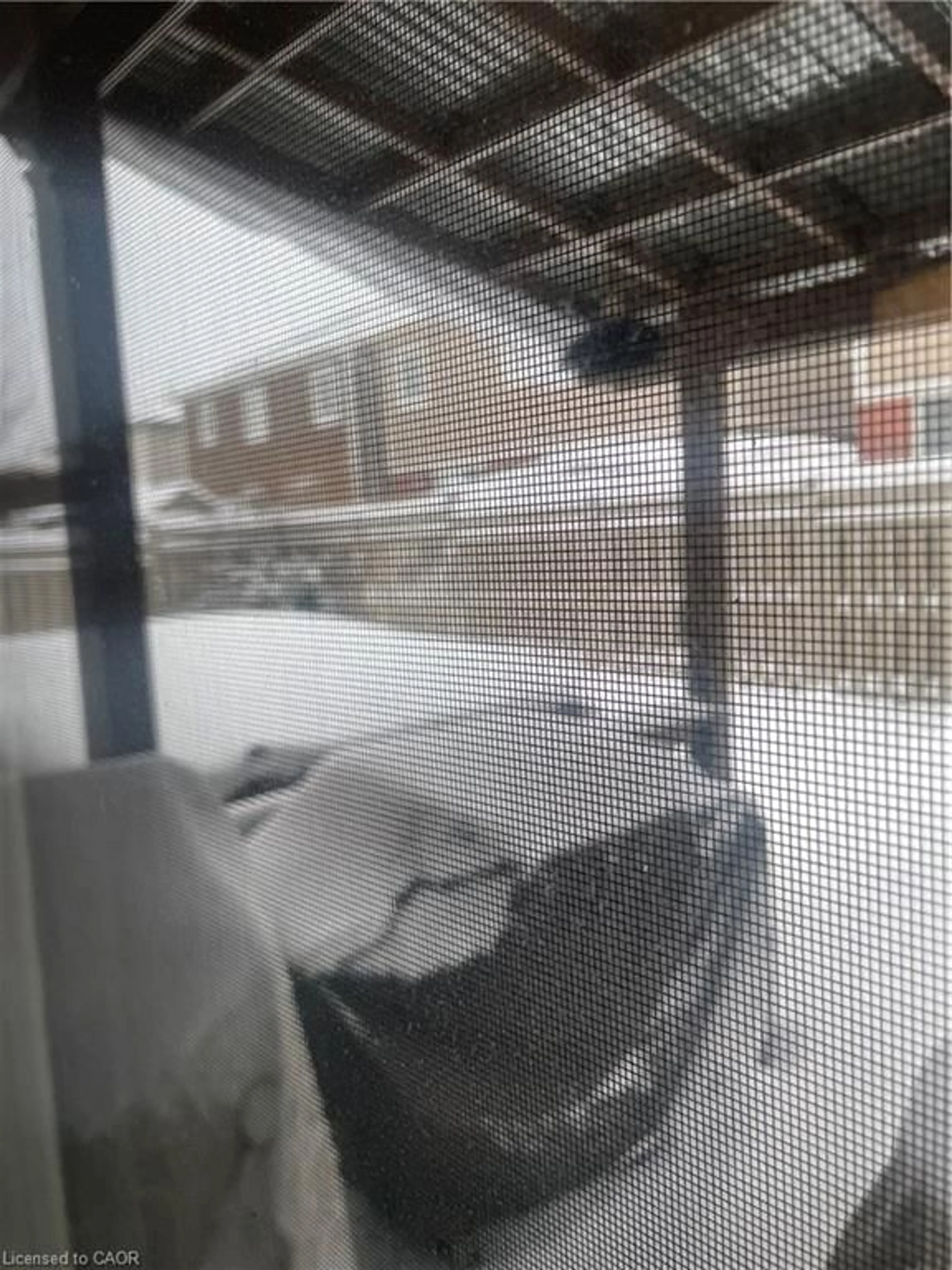 Unknown for 229 Pine Glen Cres, Kitchener Ontario N2R 0G2