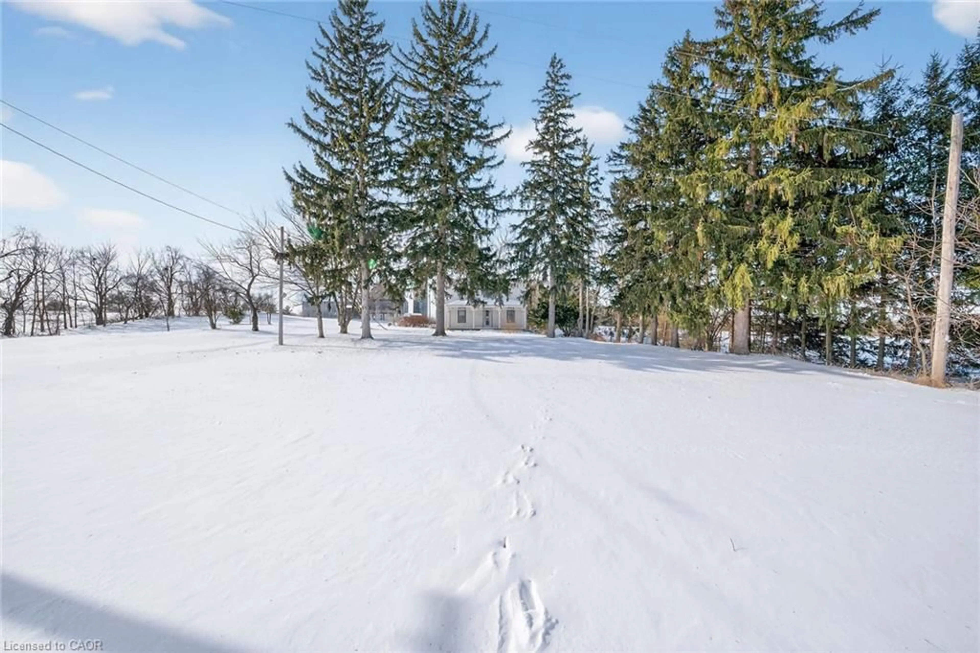 Patio, forest/trees view for 1631 River Rd, Cayuga Ontario N0A 1E0