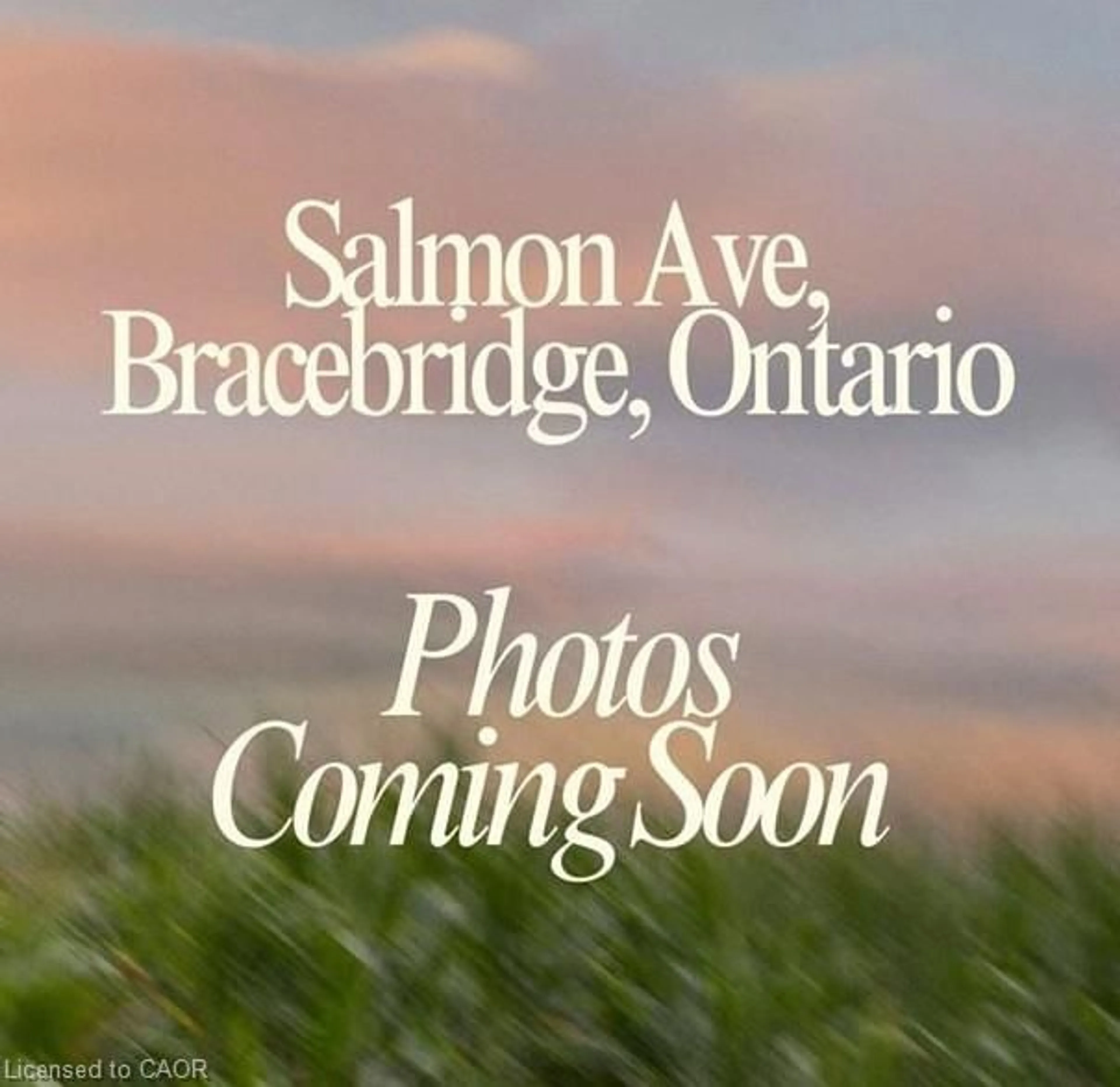 Blurry image for N/A Salmon St, Bracebridge Ontario Z1Z 1Z1